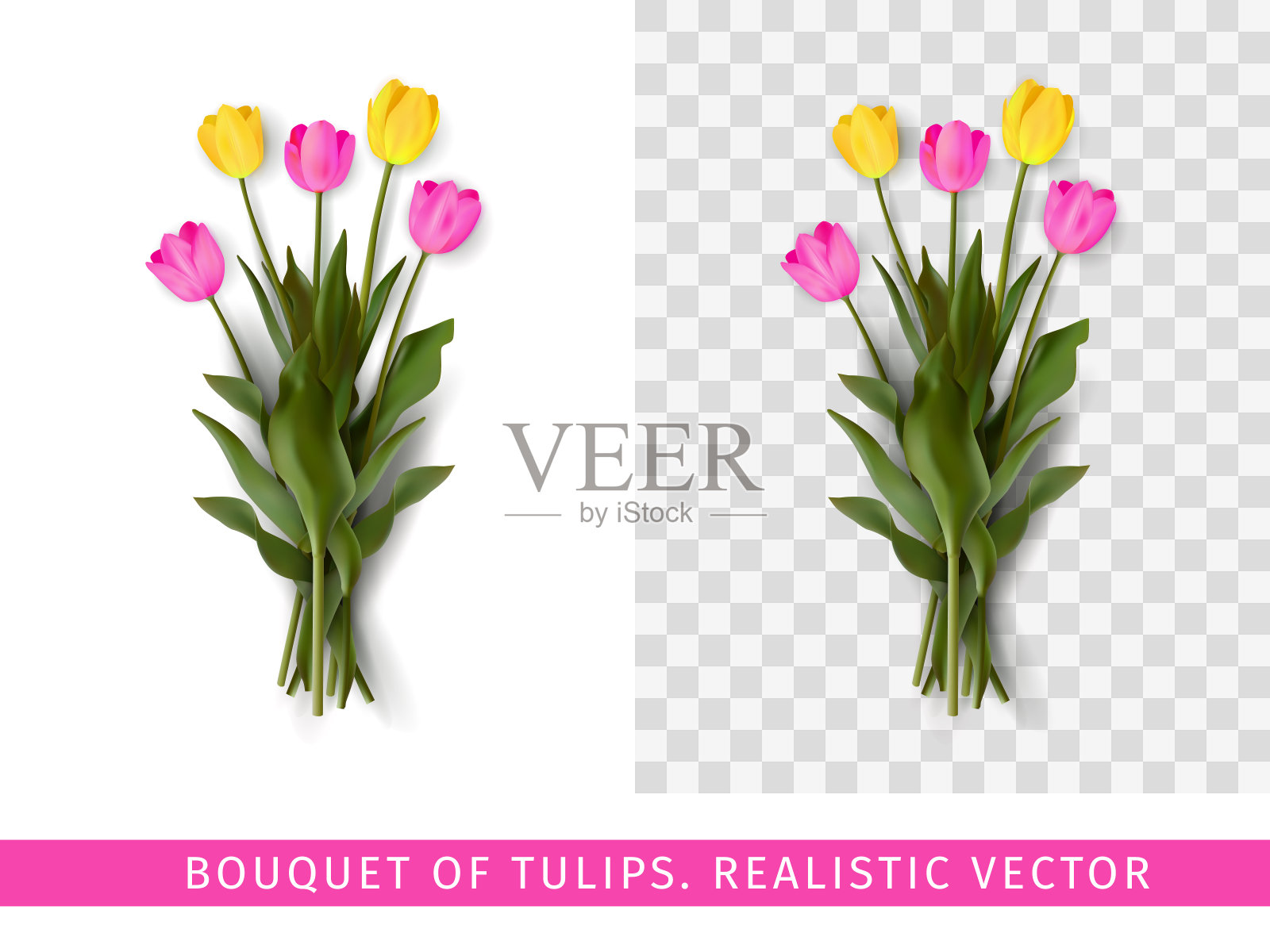 一束粉红色和黄色的郁金香在透明的背景上插画图片素材