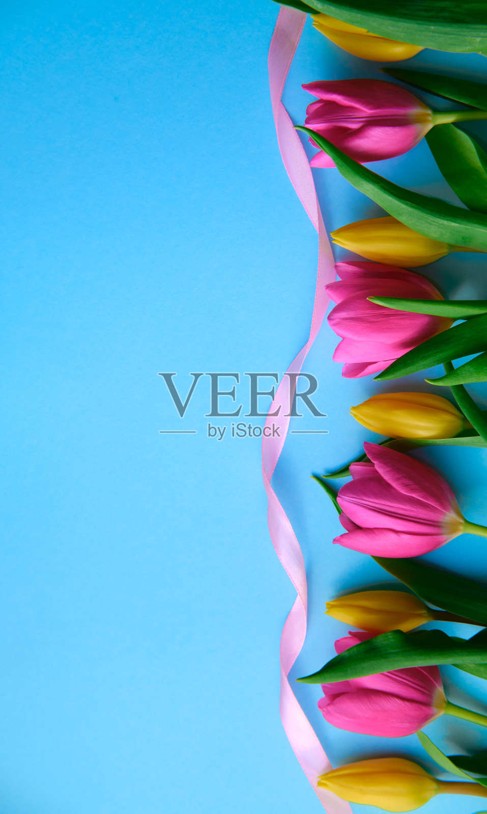 色彩鲜艳的花与粉红色的丝带在蓝色的背景照片摄影图片