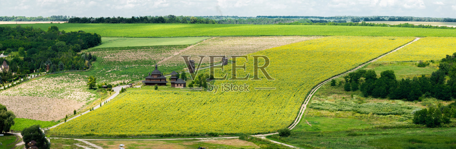 木制教堂、风车和向日葵田的全景照片摄影图片