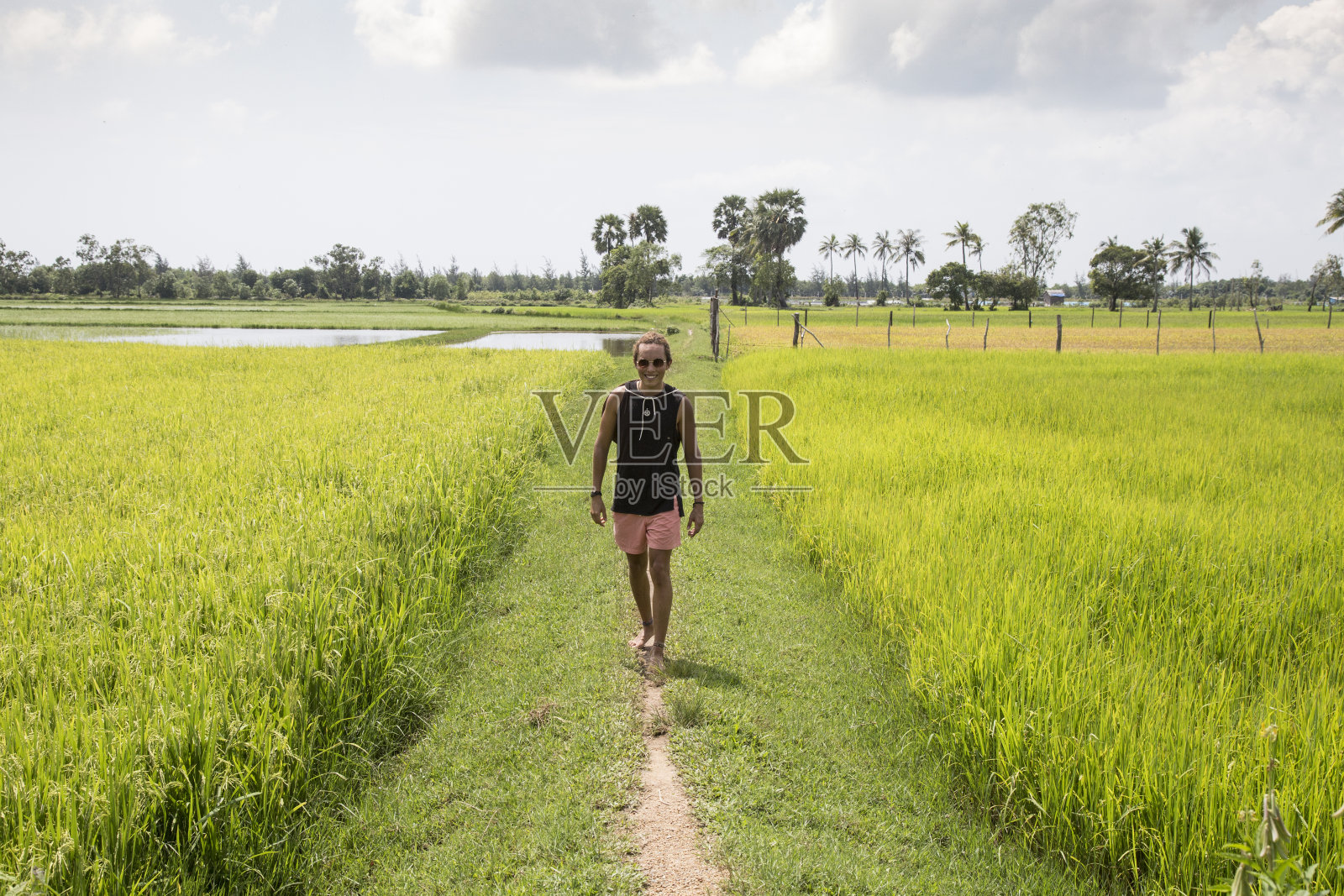 一名男性游客正穿过一片绿色的稻田照片摄影图片
