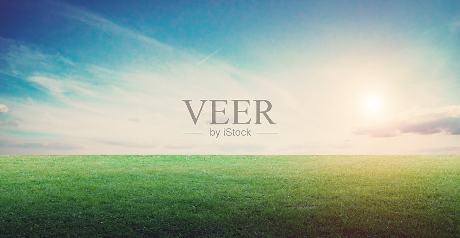 草地景观全景照片摄影图片