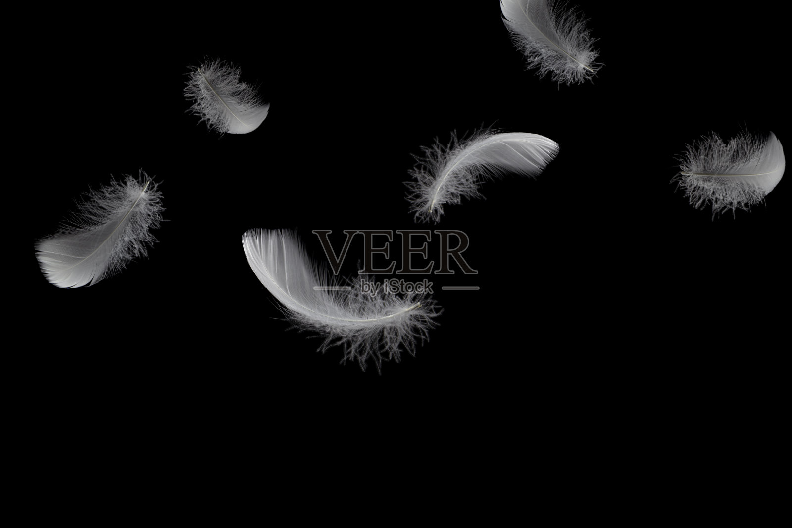 柔软的白色羽毛在空中落下照片摄影图片