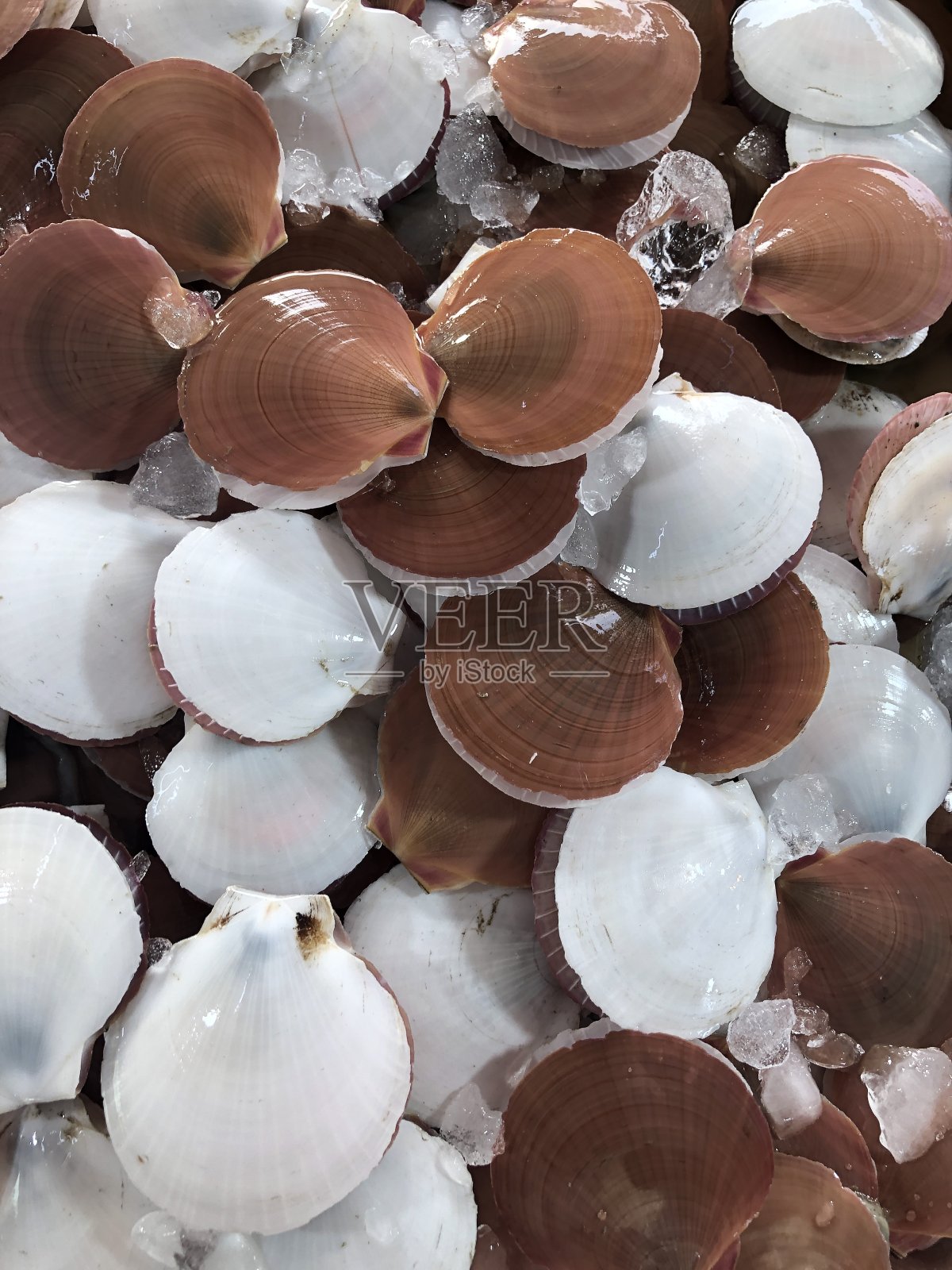 泰国市场上新鲜的海鲜照片摄影图片