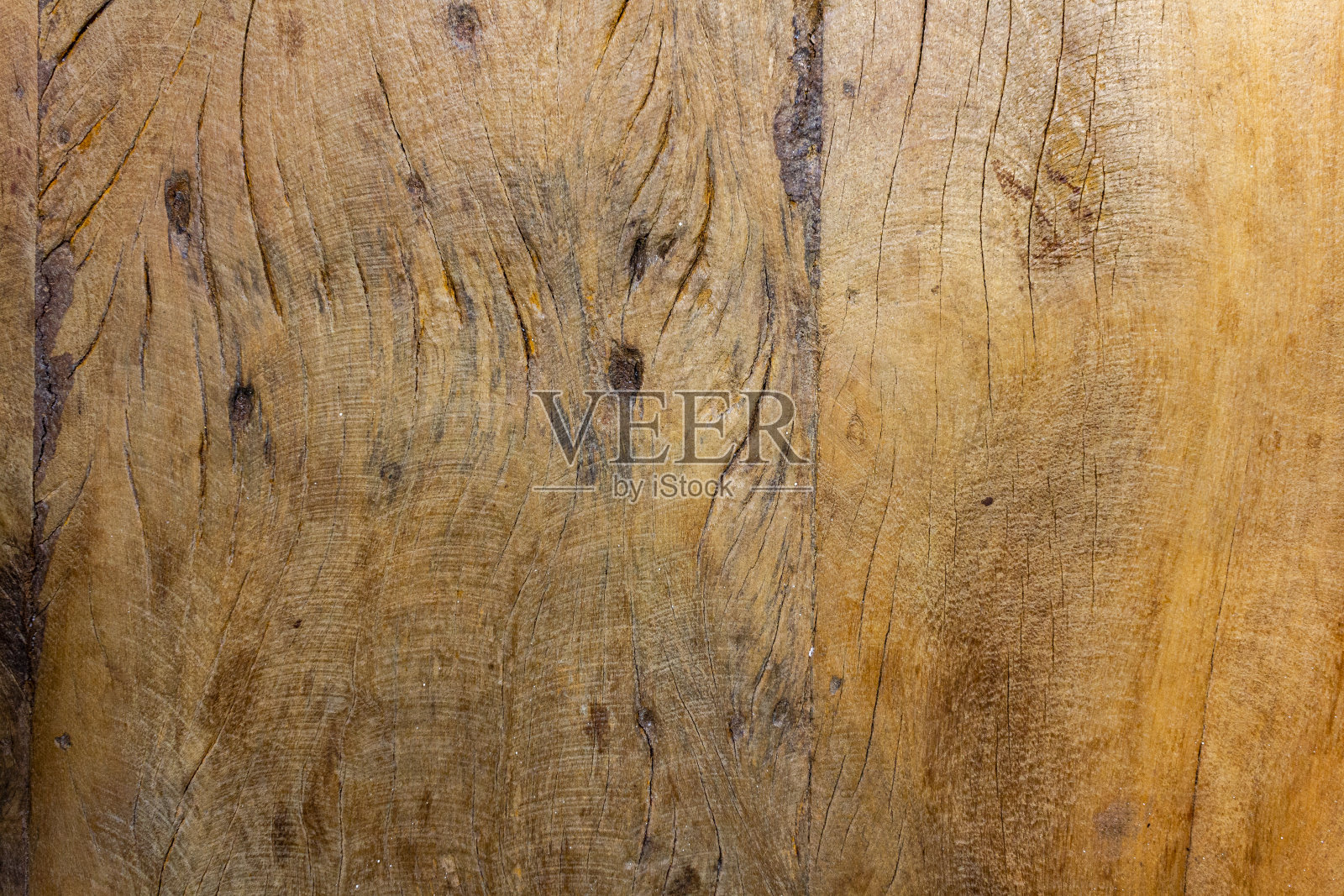 不同的木材纹理照片摄影图片