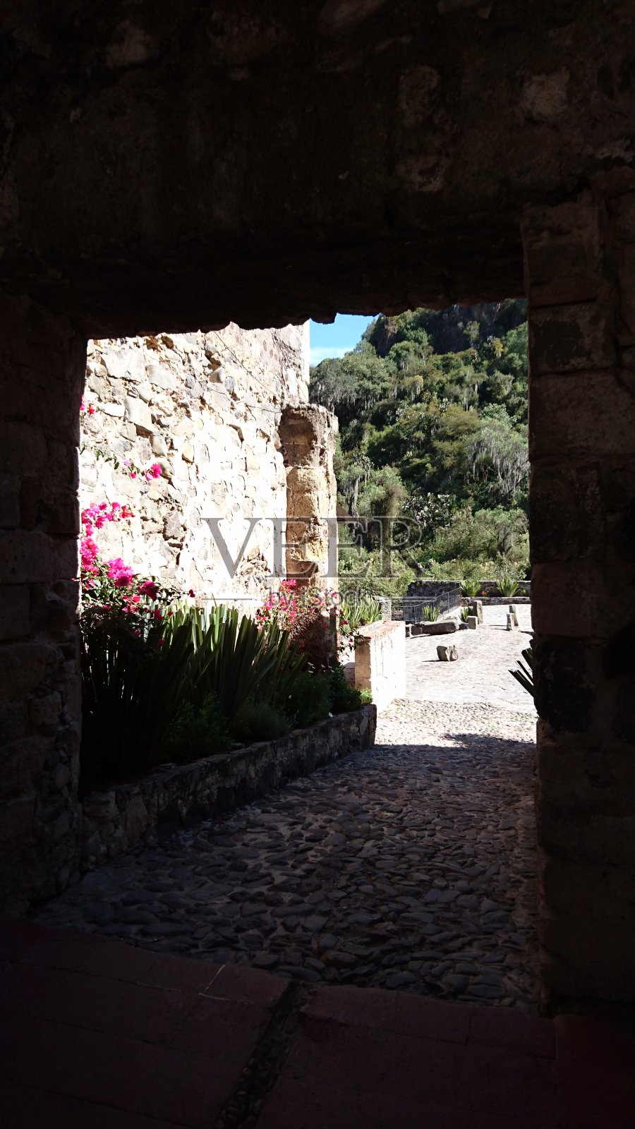 进入财政部照片摄影图片