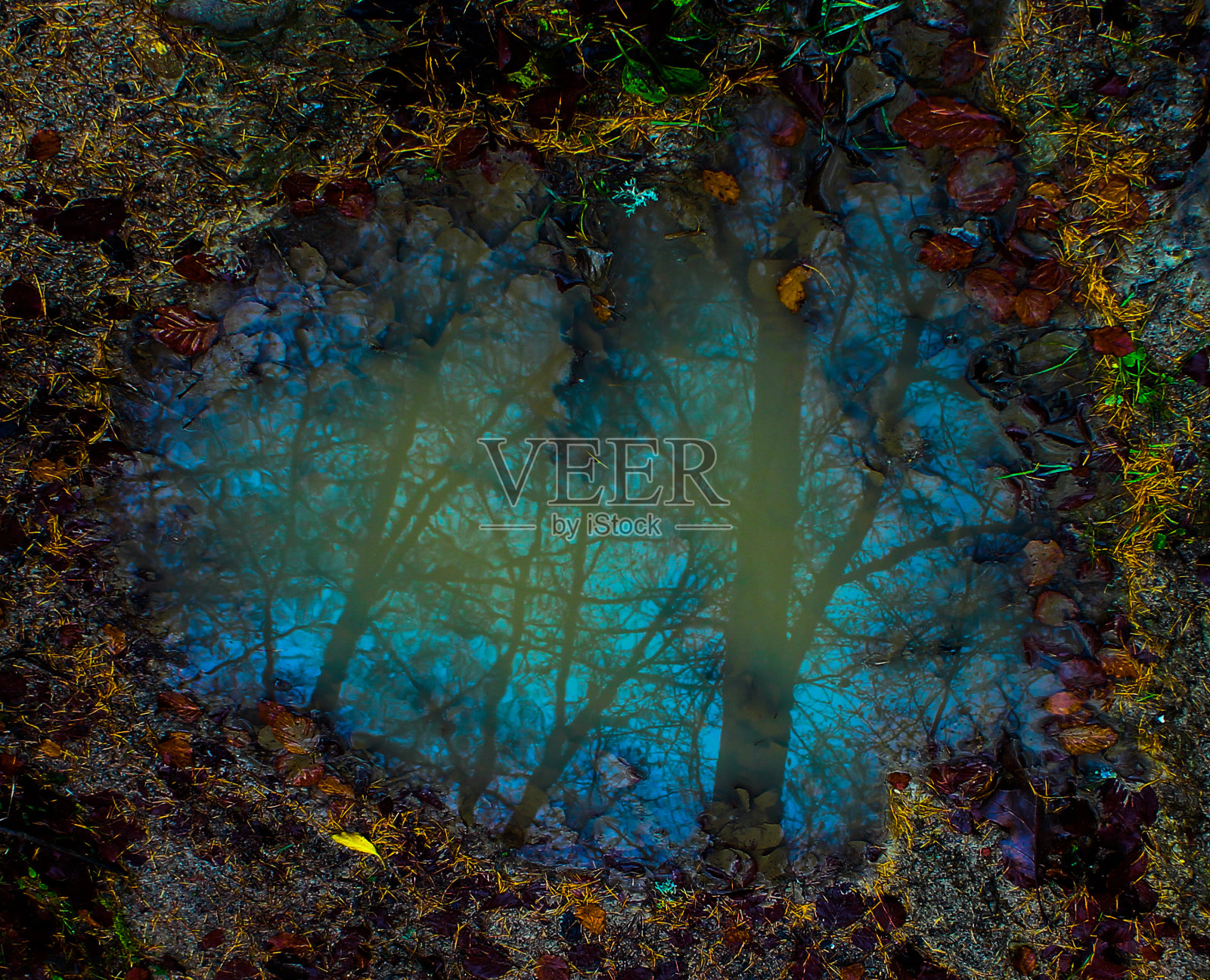 魔镜照片摄影图片