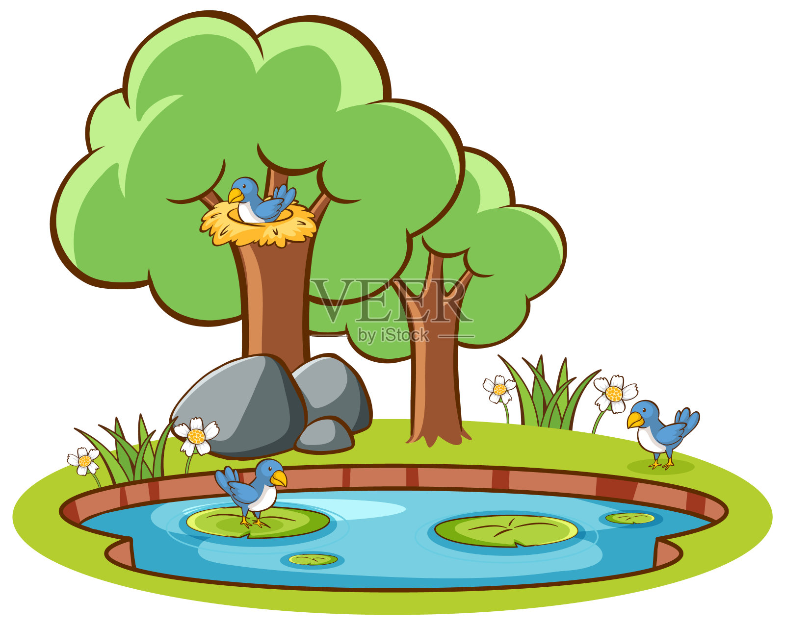 孤立的鸟和池塘的图片插画图片素材
