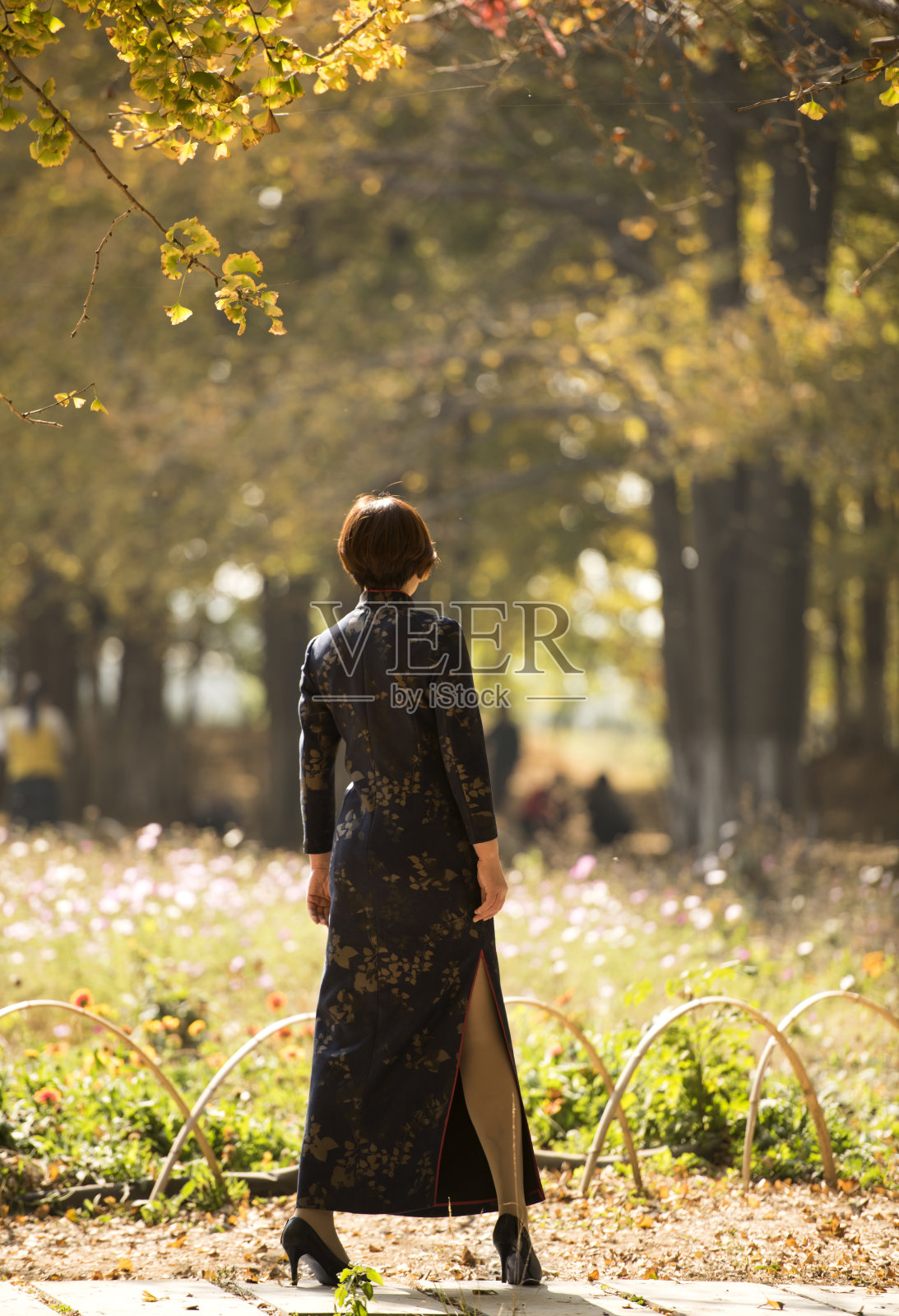 秋天走在树林里的中国妇女穿着传统的中国服装照片摄影图片