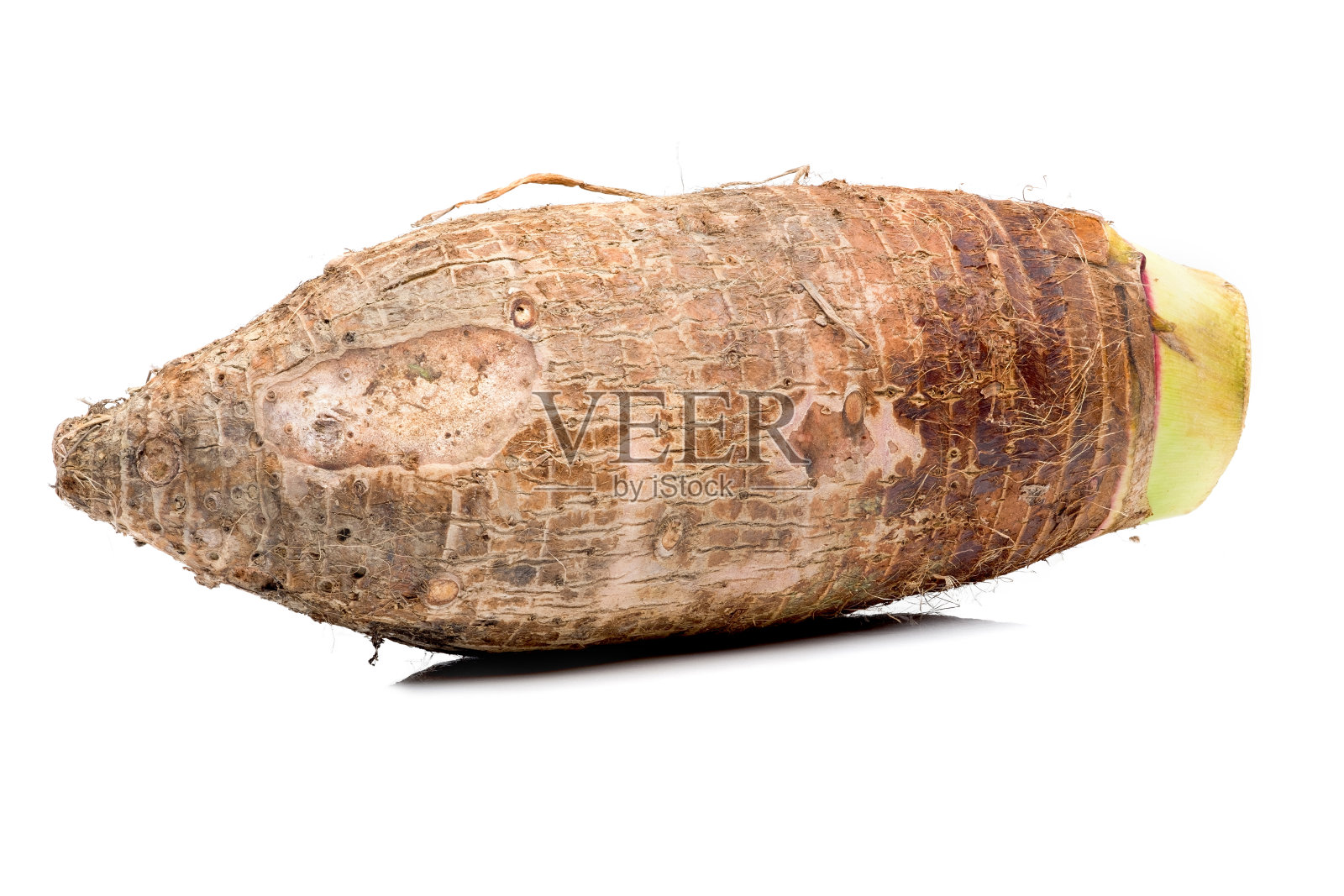 在白色背景上孤立的芋头根。照片摄影图片