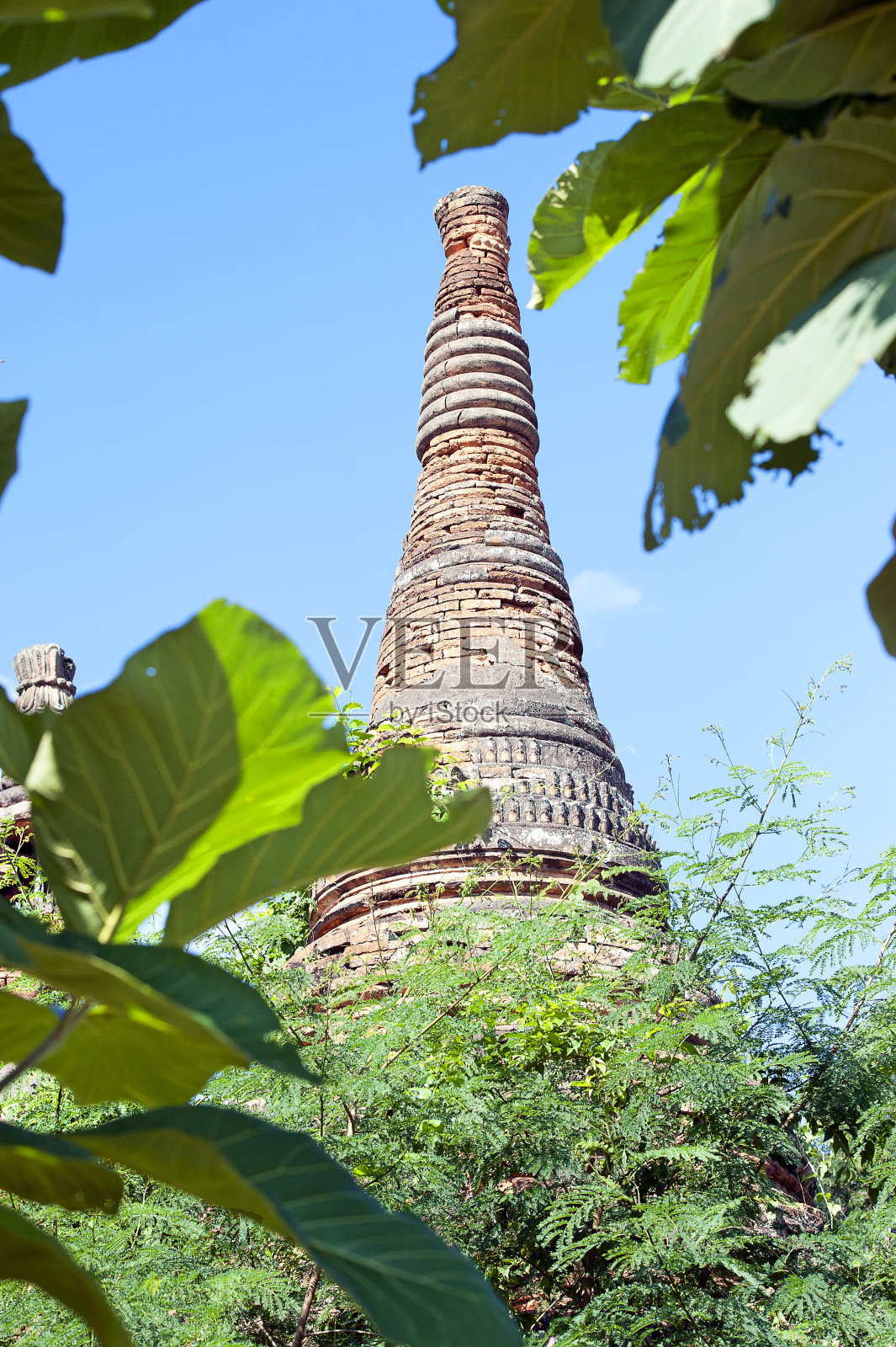 缅甸茵莱市，树木环绕的年奥哈克佛塔照片摄影图片