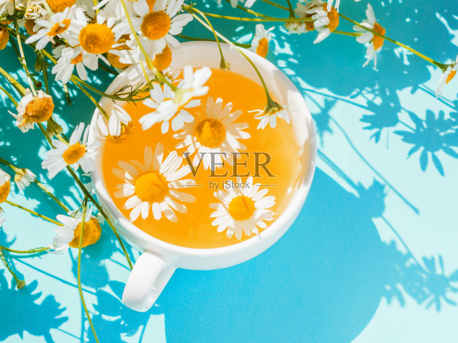 新鲜洋甘菊花茶照片摄影图片