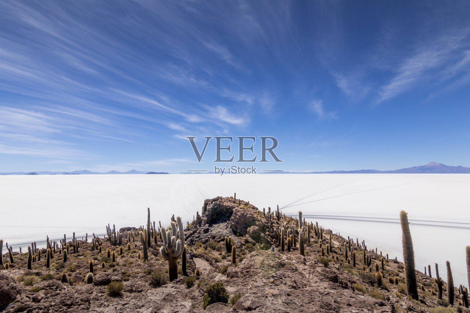 乌尤尼盐沼因卡华西岛的仙人掌是玻利维亚最大的盐沼。照片摄影图片