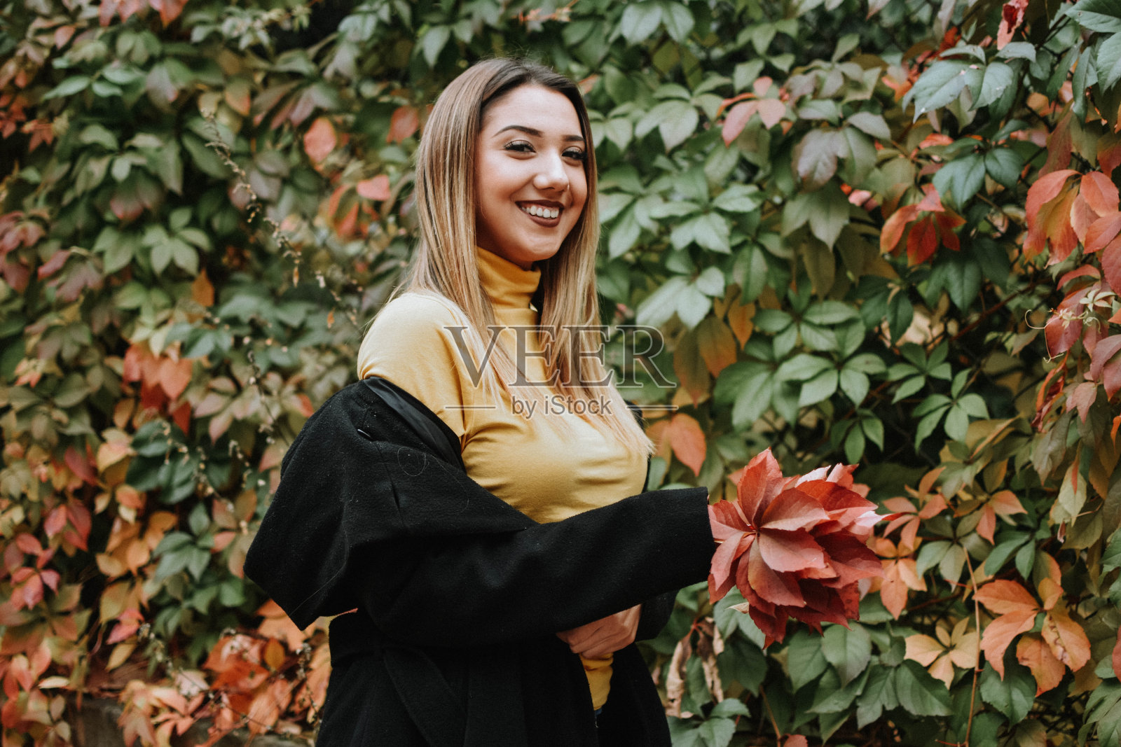 漂亮的女人照片摄影图片