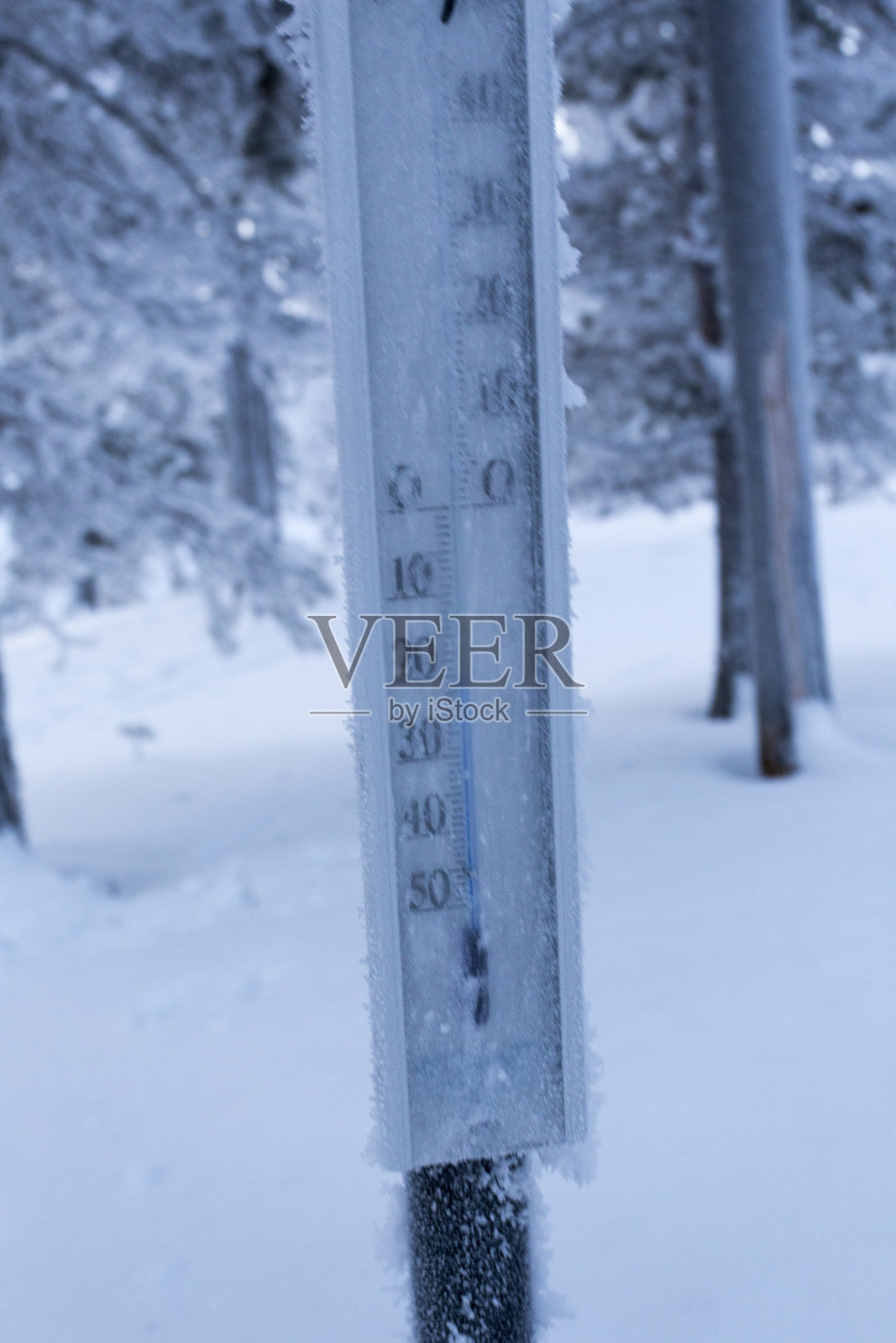 冬季拉普兰地区的冰冻景观照片摄影图片