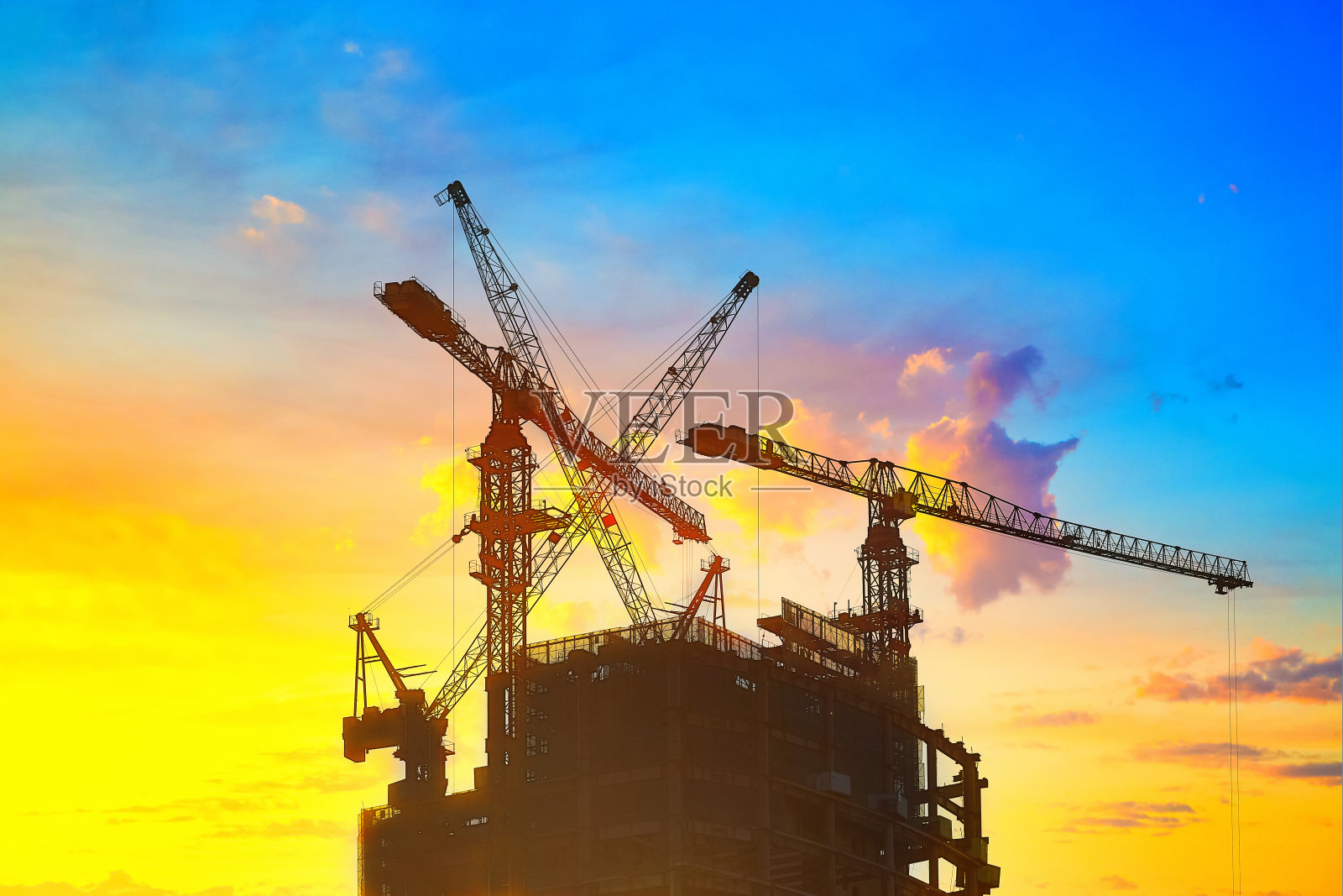 夕阳中的鹤照片摄影图片