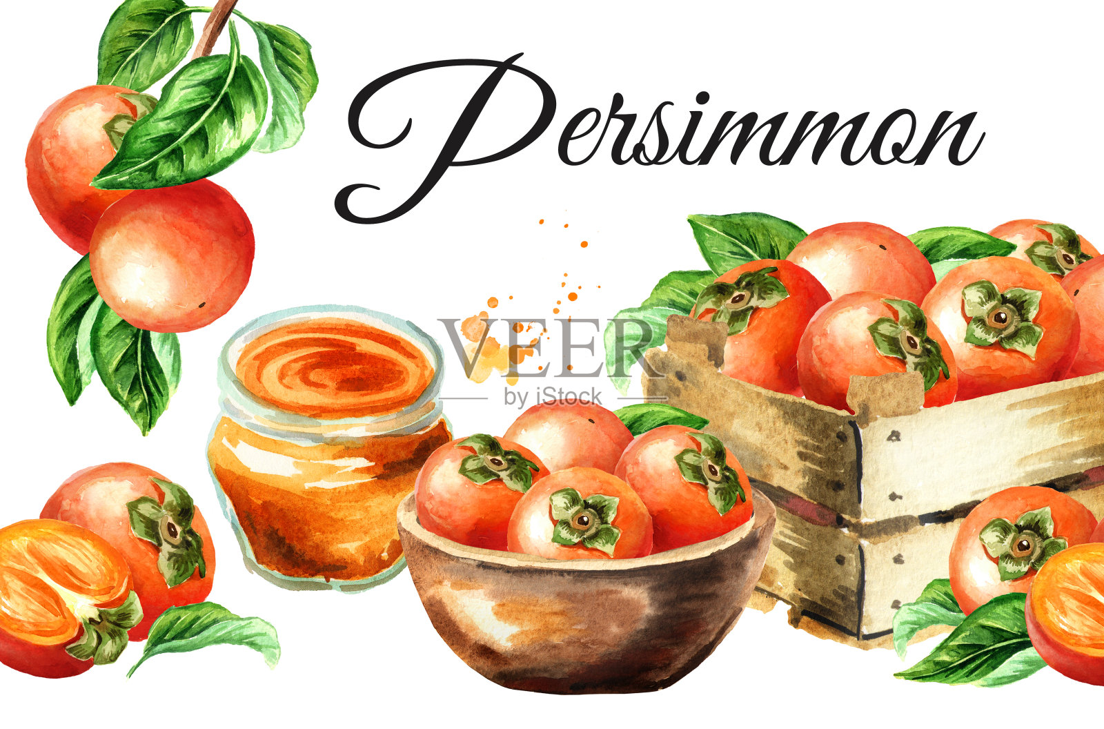 鲜熟柿子卡。水彩手绘垂直插图孤立的白色背景插画图片素材
