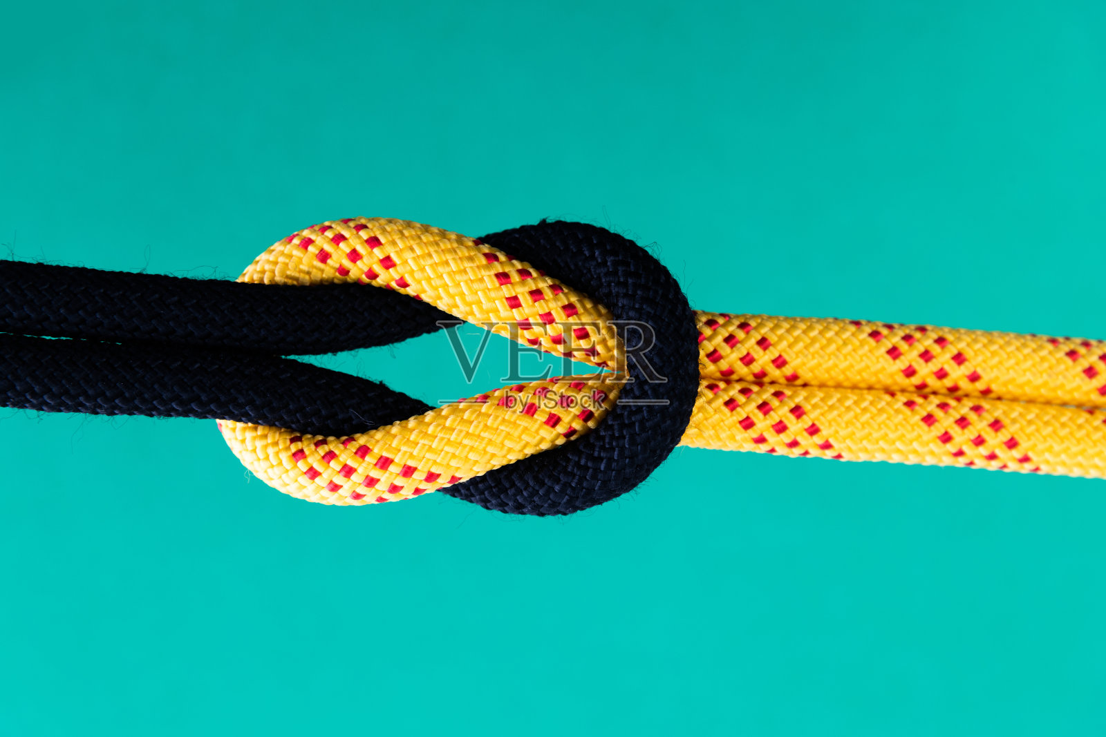 绿色背景上的礁结照片摄影图片