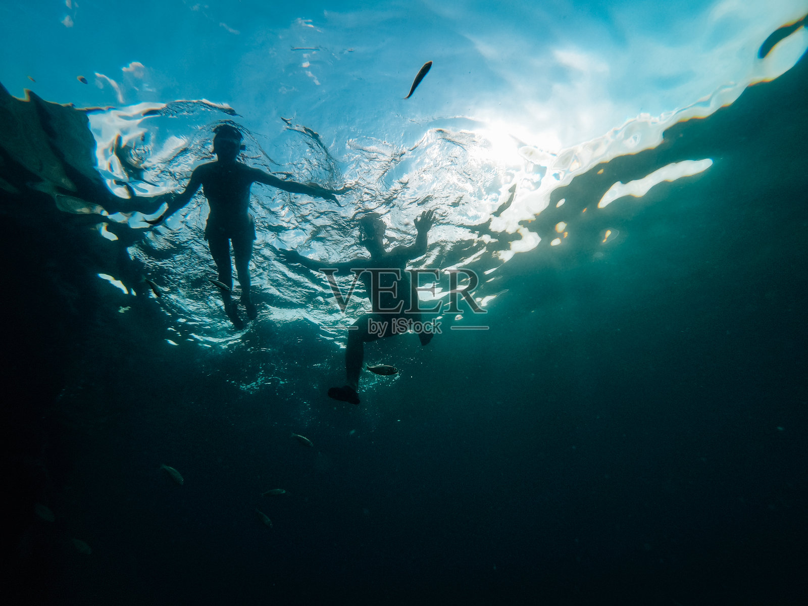 一对夫妇在海上浮潜的水下照片照片摄影图片