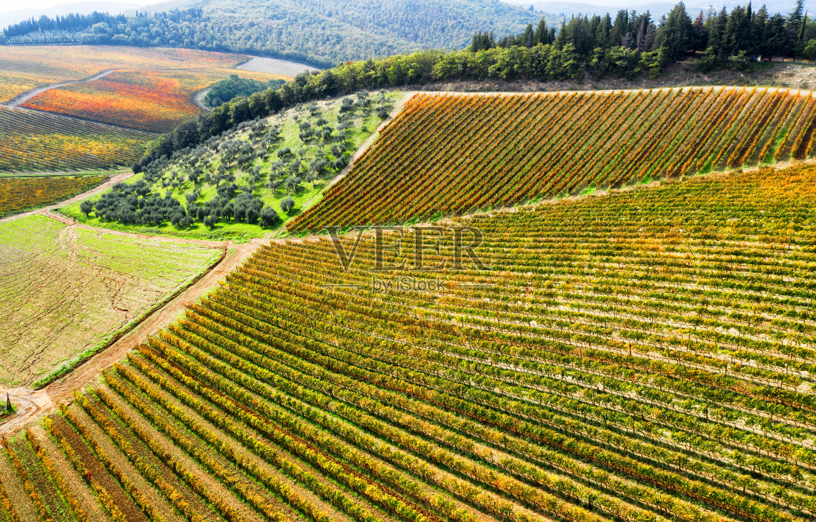 航拍意大利托斯卡纳基安蒂地区的葡萄园照片摄影图片