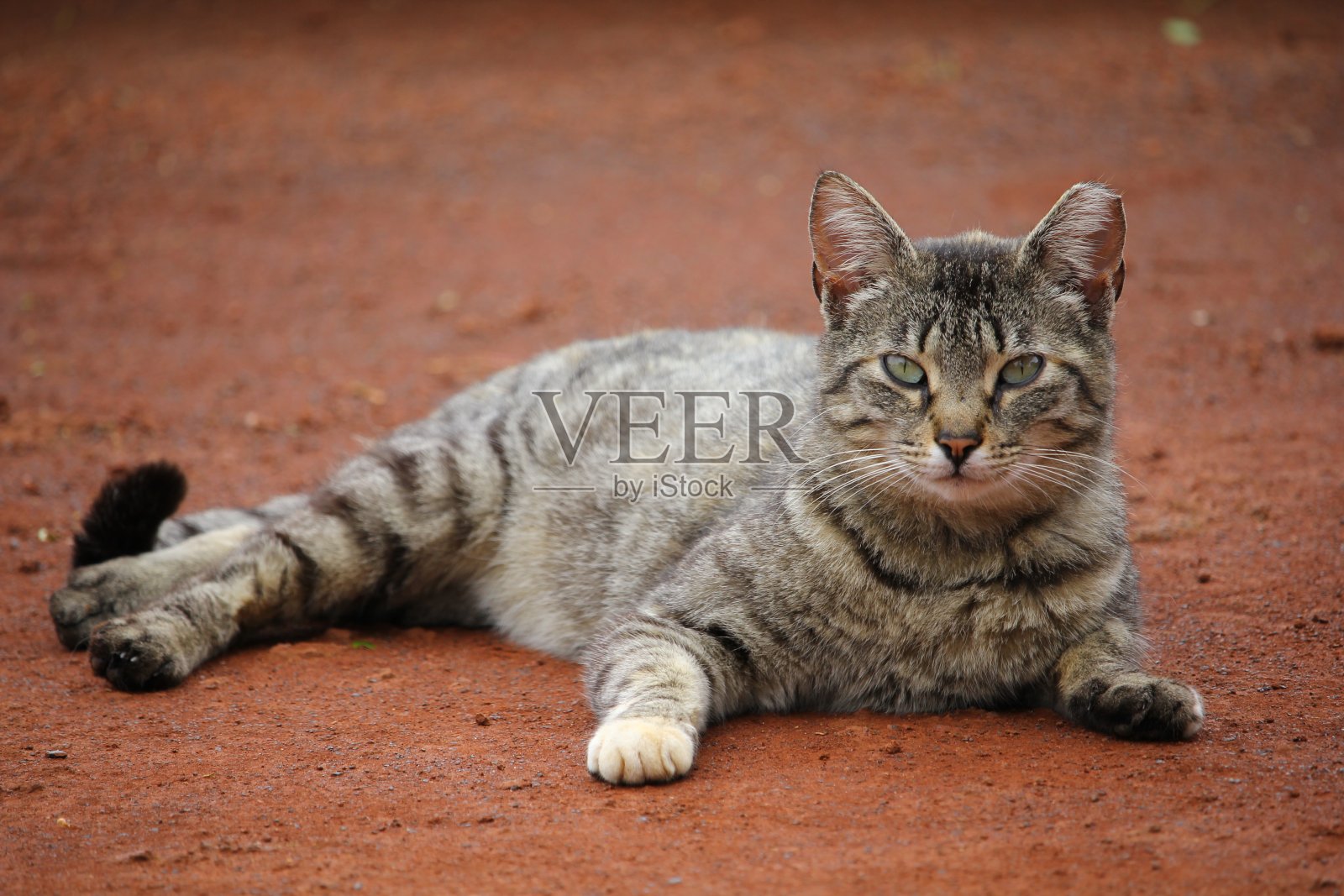 接近尾声,照片摄影图片