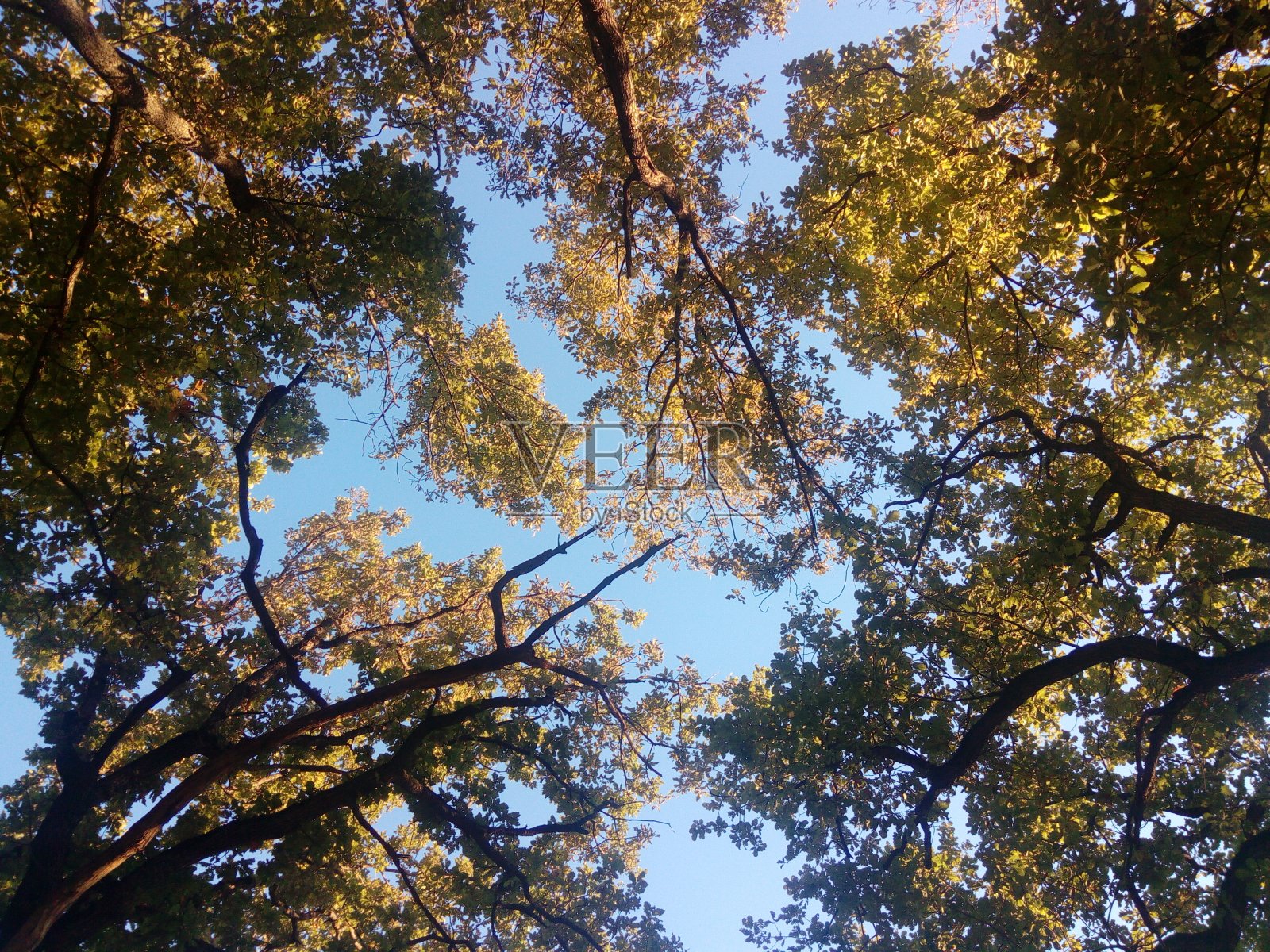 秋天的时间照片摄影图片