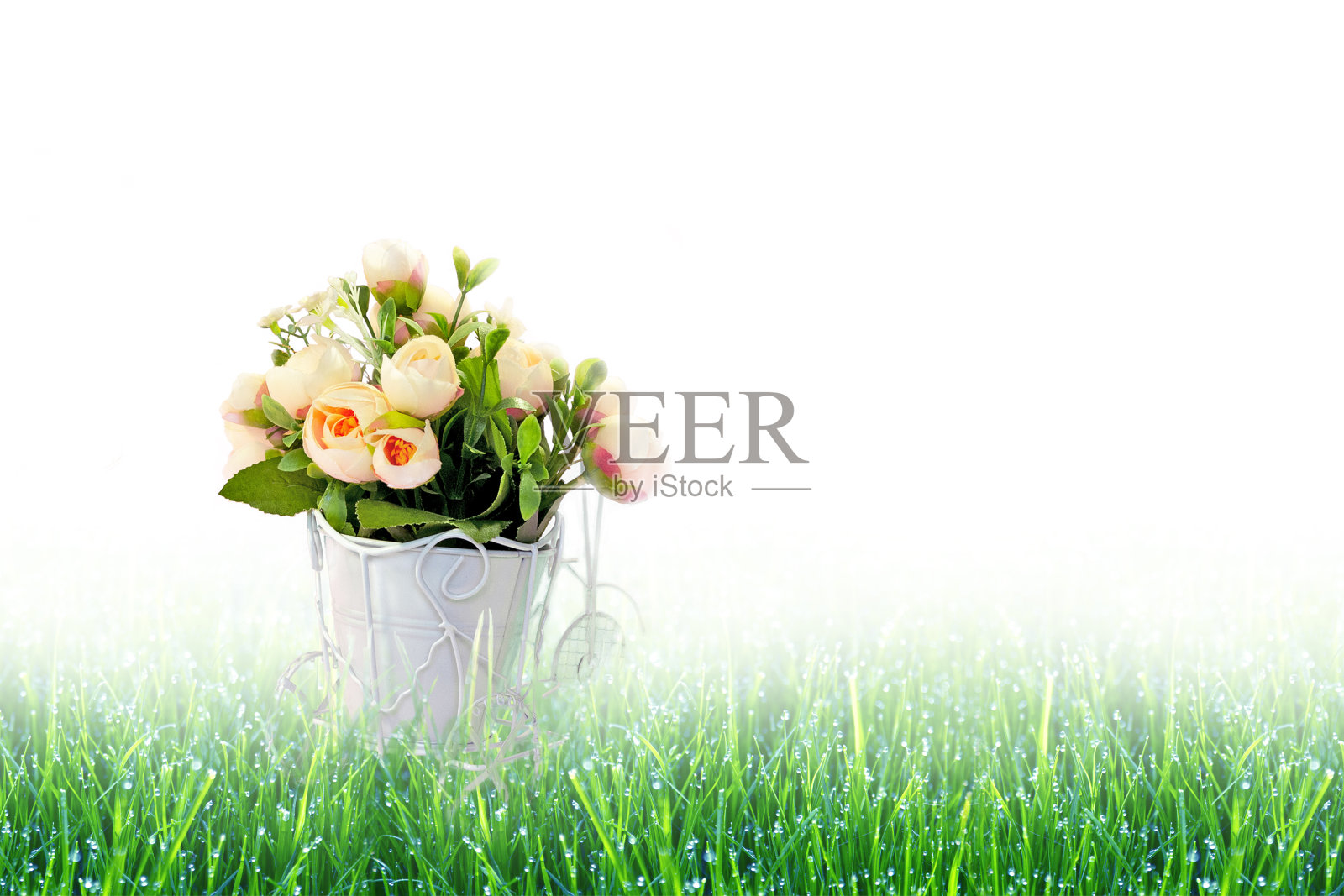 复古自行车与粉红色的花篮子玫瑰在新鲜的绿色草地上与露珠在光的背景。概念情人节、母亲节、婚礼或3月8日贺卡照片摄影图片