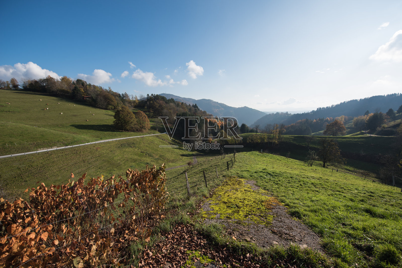 德国的风景照片摄影图片