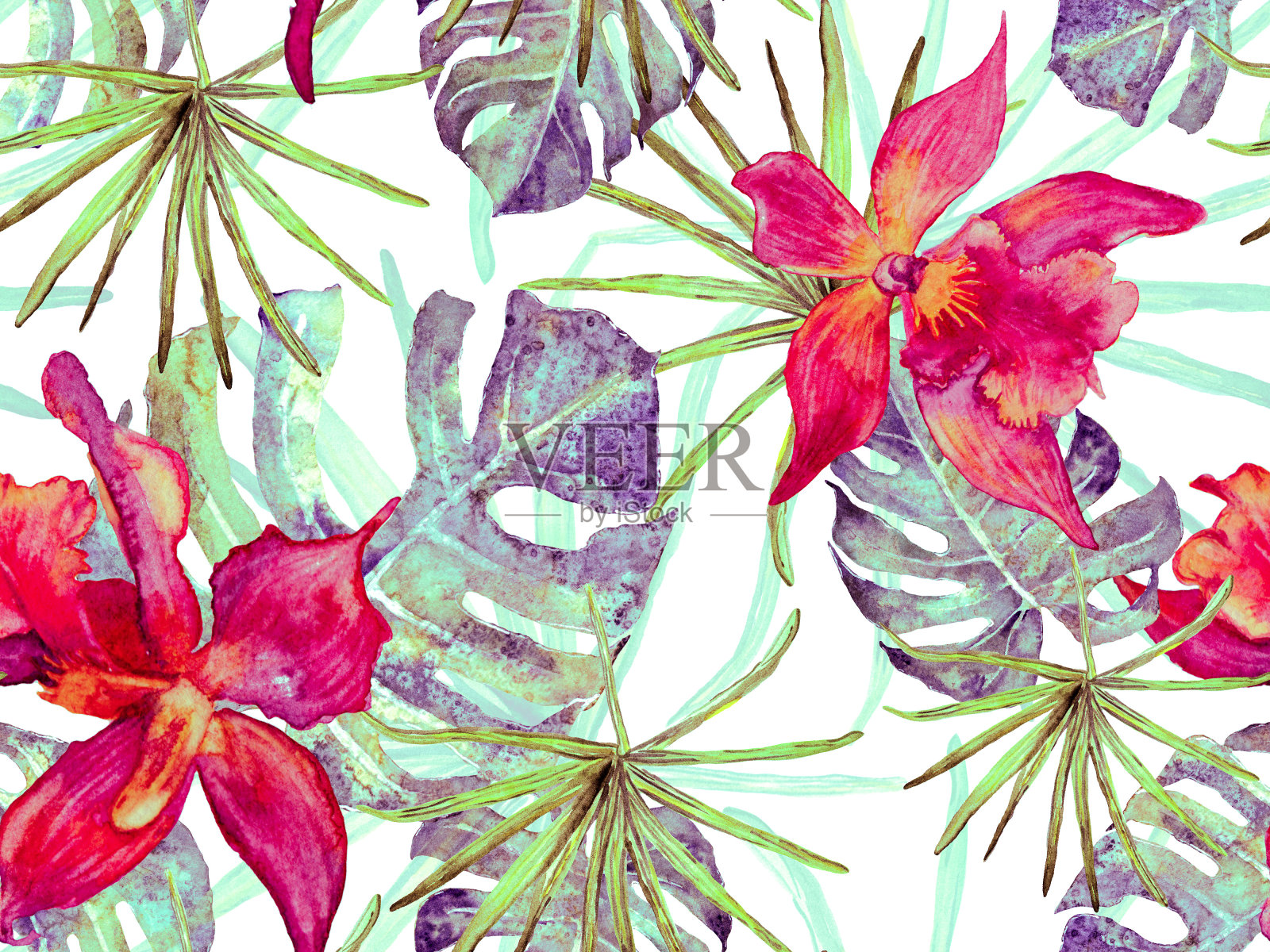 兰花无缝模式。插画图片素材