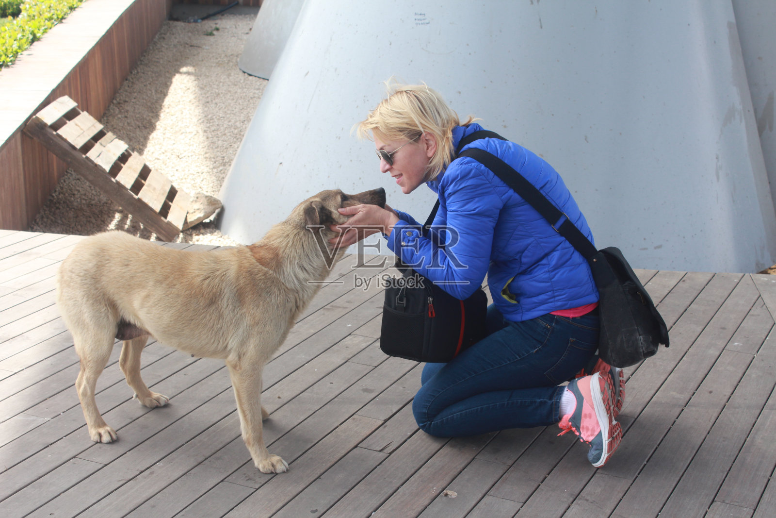 女人和狗的友谊照片摄影图片