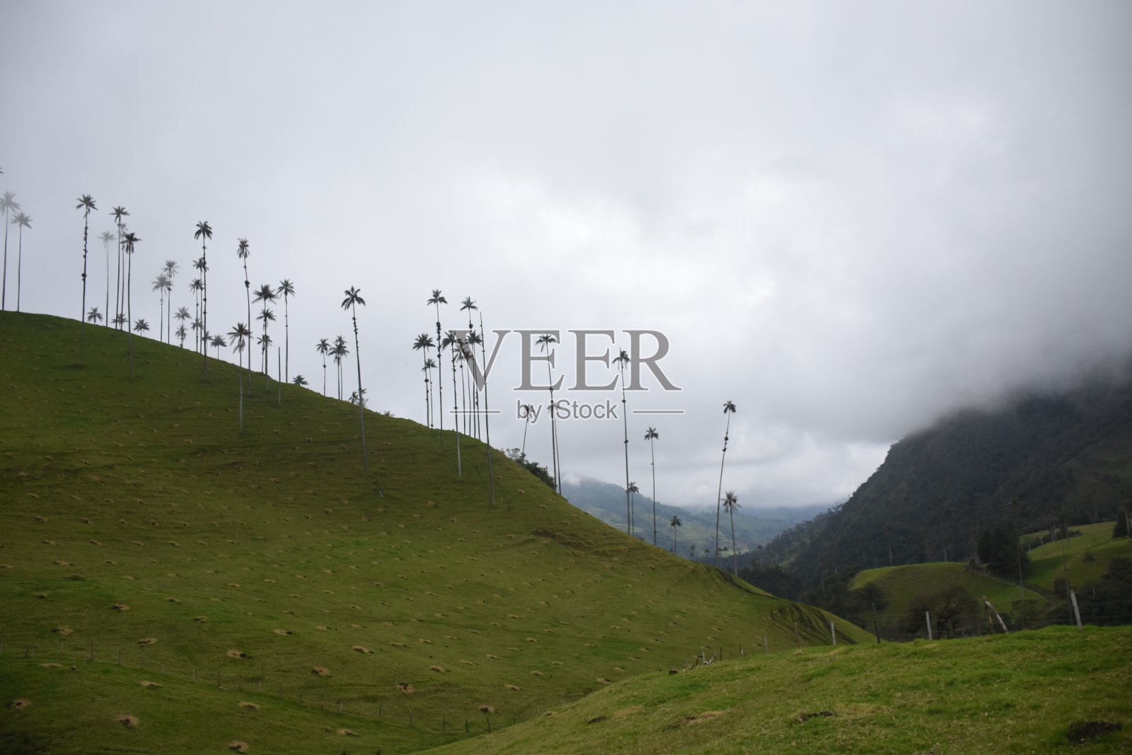 山谷照片摄影图片