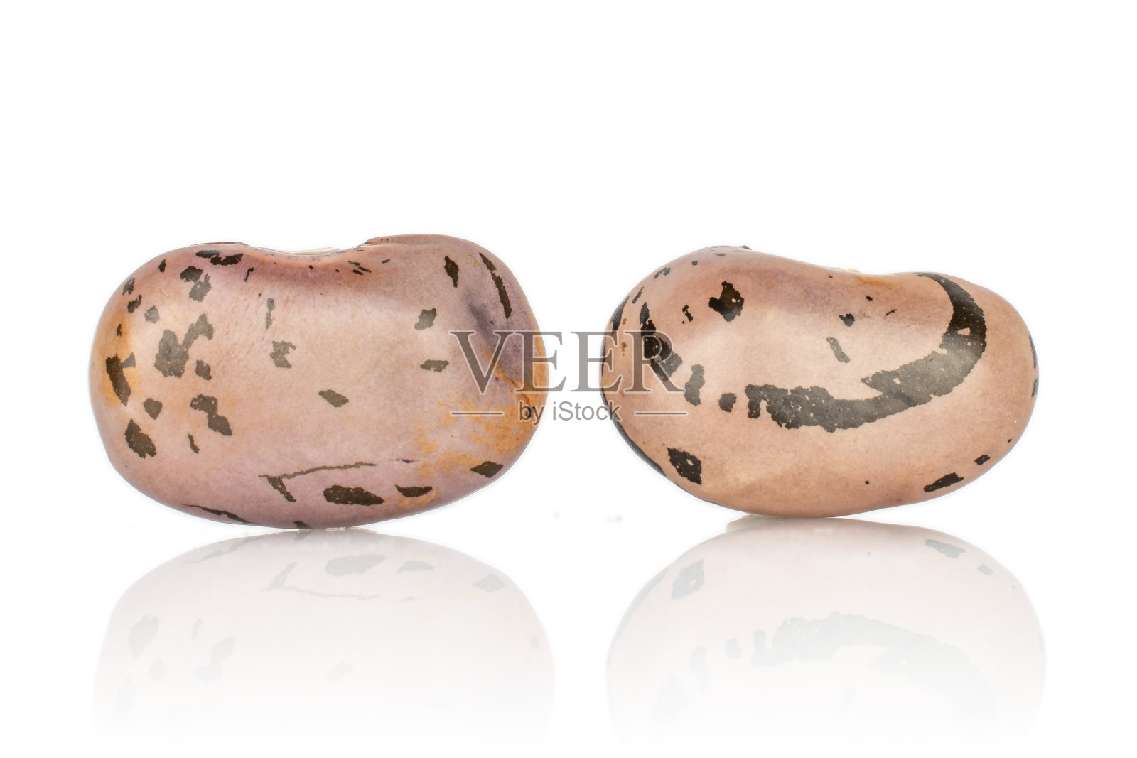 斑纹豆孤立在白色上照片摄影图片