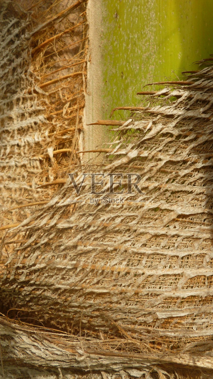 单色极简主义摄影照片摄影图片