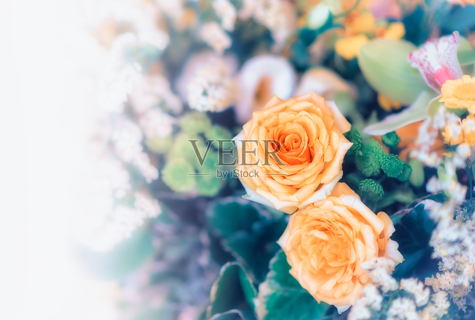 特写图像美丽的花墙背景与玫瑰复古滤镜。照片摄影图片