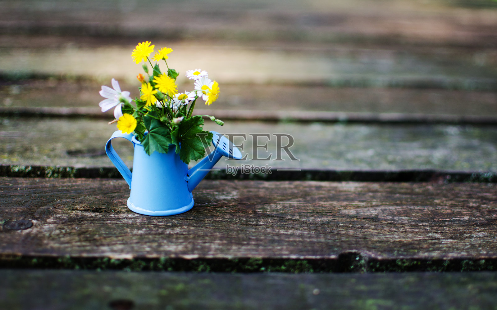 装着水和花的小喷壶照片摄影图片