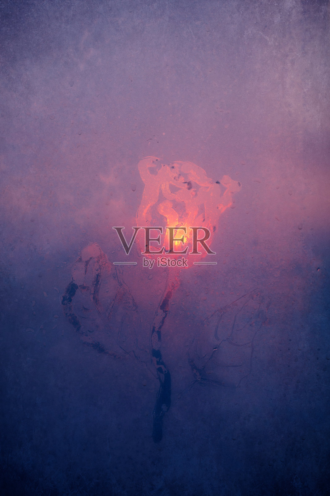 在结霜的窗户上画一朵玫瑰照片摄影图片