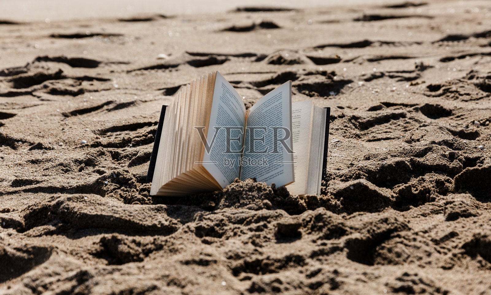 一本教科书在沙滩的沙子中间照片摄影图片