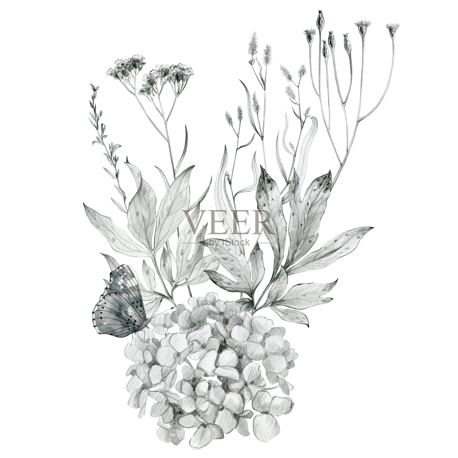 花素描花束插画图片素材