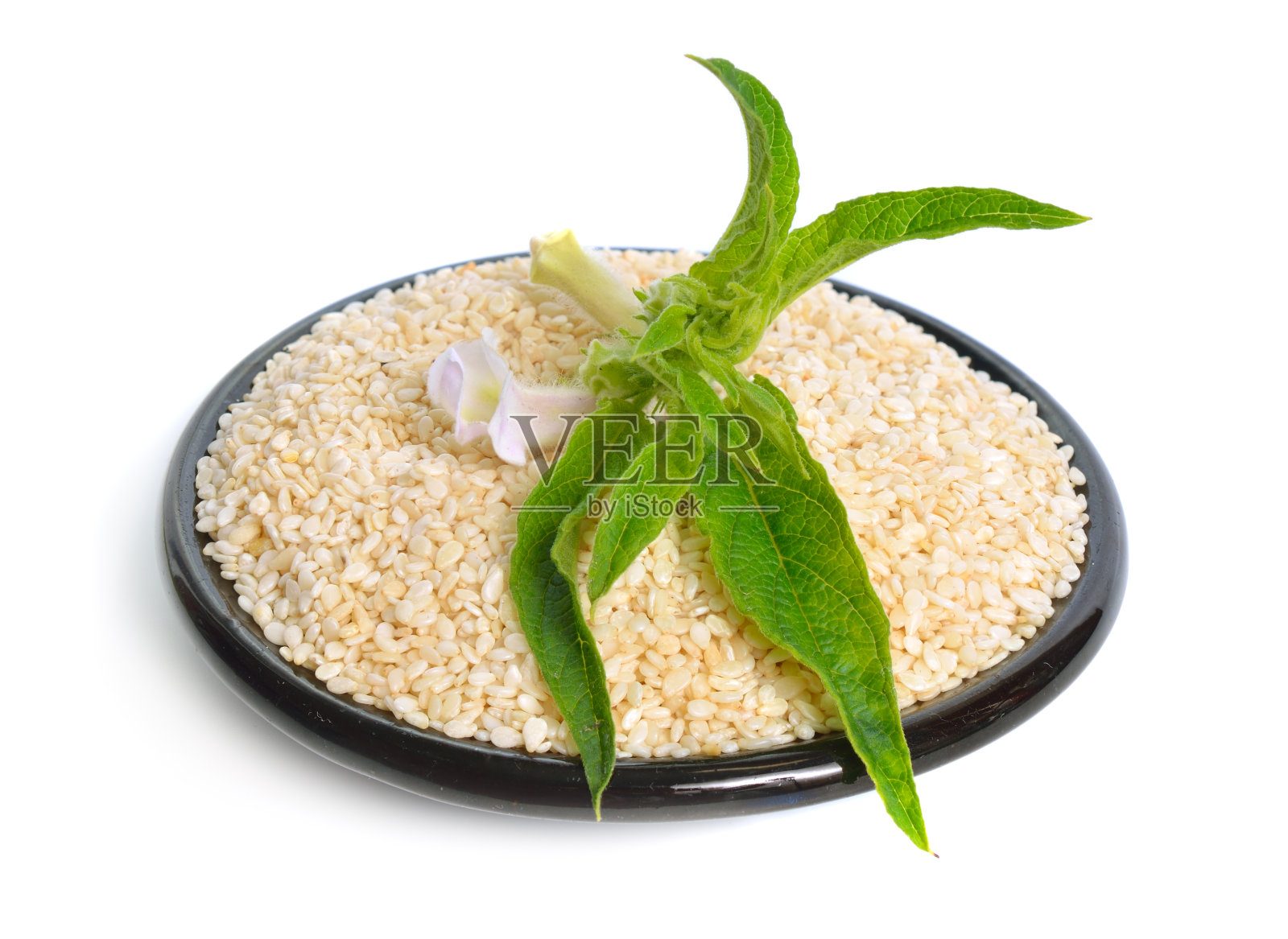 白色背景上花和种子分离的芝麻植物照片摄影图片