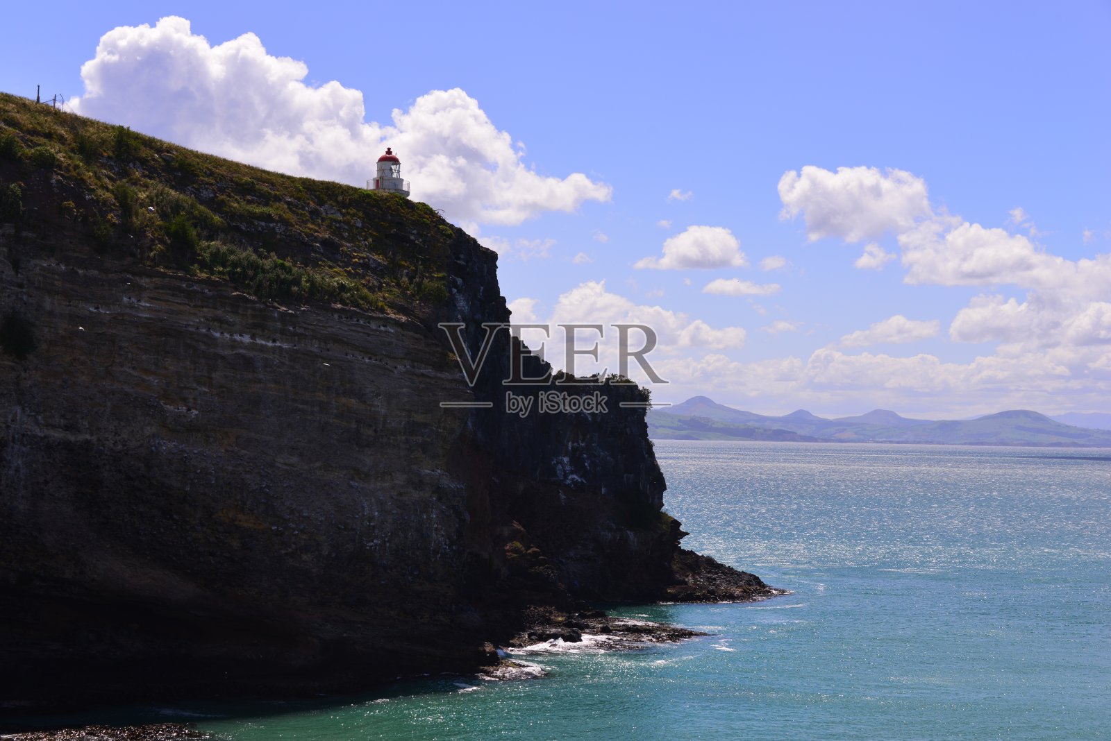 这是皇家信天翁中心美丽风景的侧面照片照片摄影图片