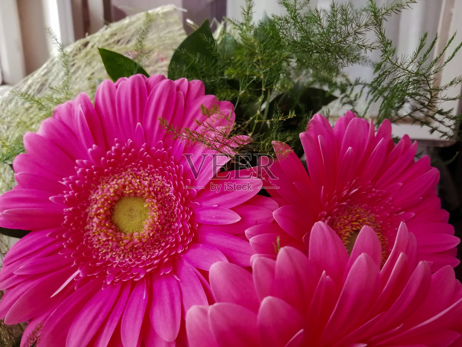 粉红色的花照片摄影图片