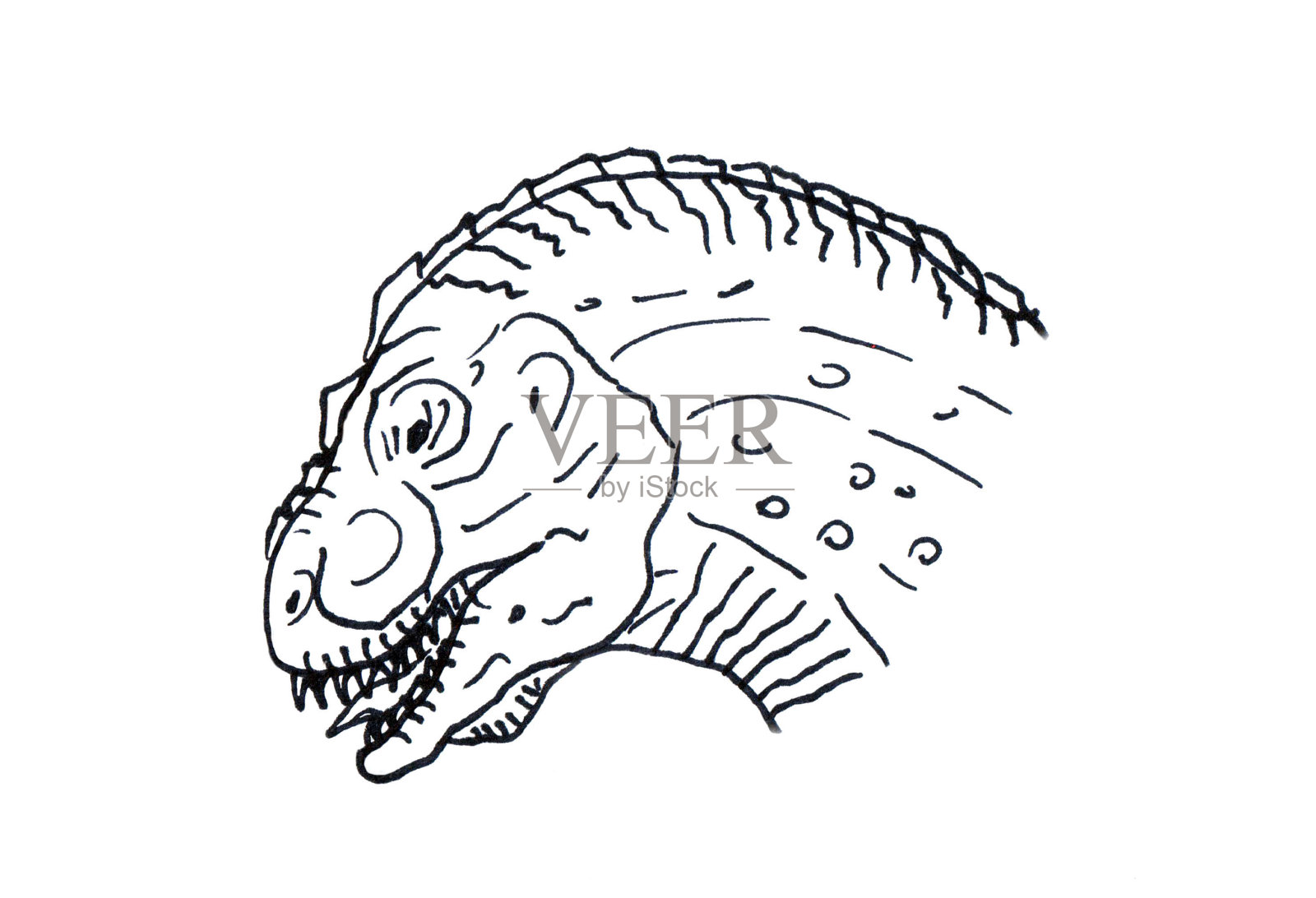 手绘的头恐龙孤立在白色的背景插画图片素材