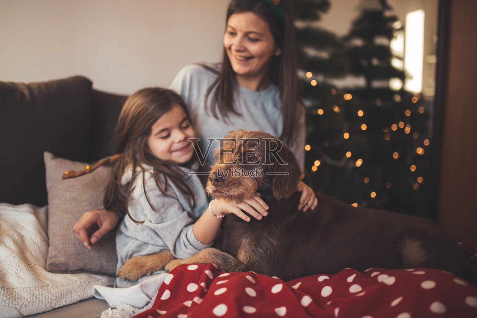 母亲和女儿庆祝圣诞节，他们的老狗在床上。照片摄影图片
