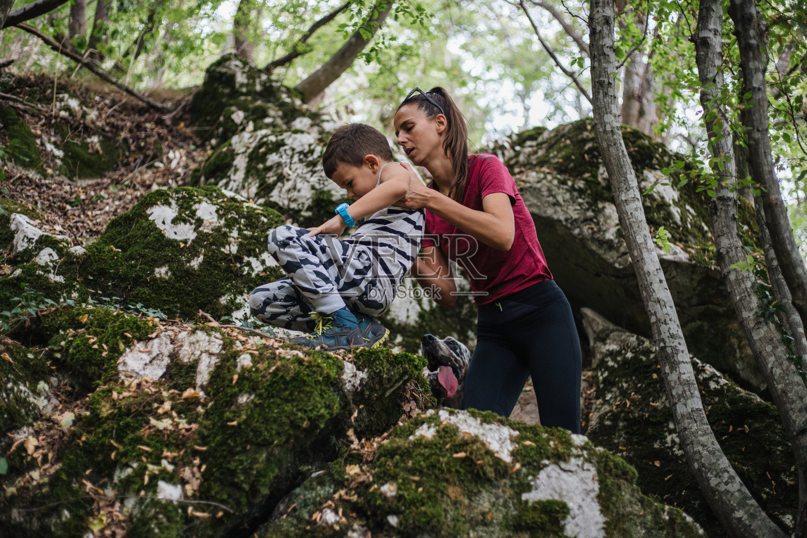 妈妈帮助儿子爬上森林里的岩石照片摄影图片