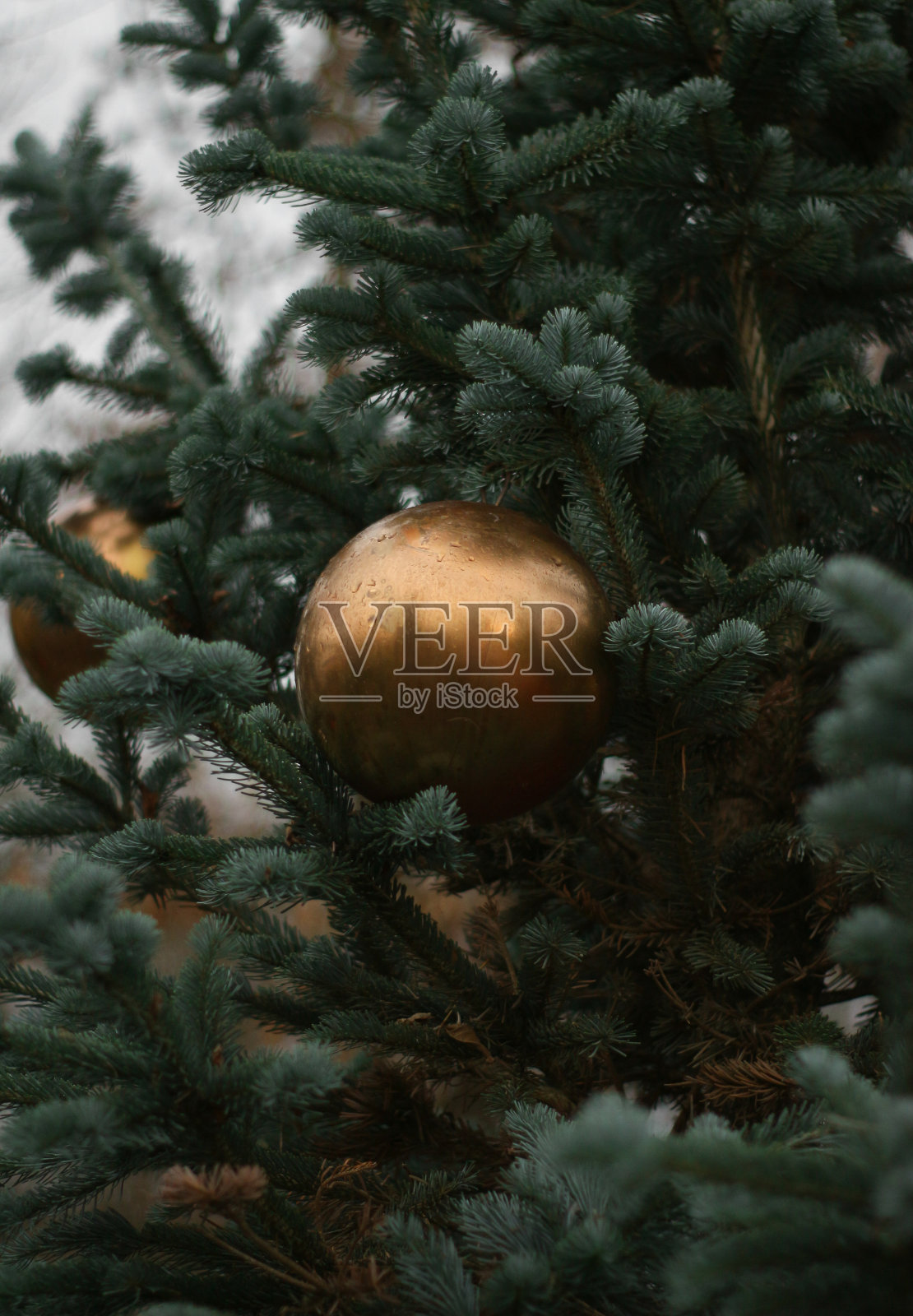 全球圣诞节装饰照片摄影图片