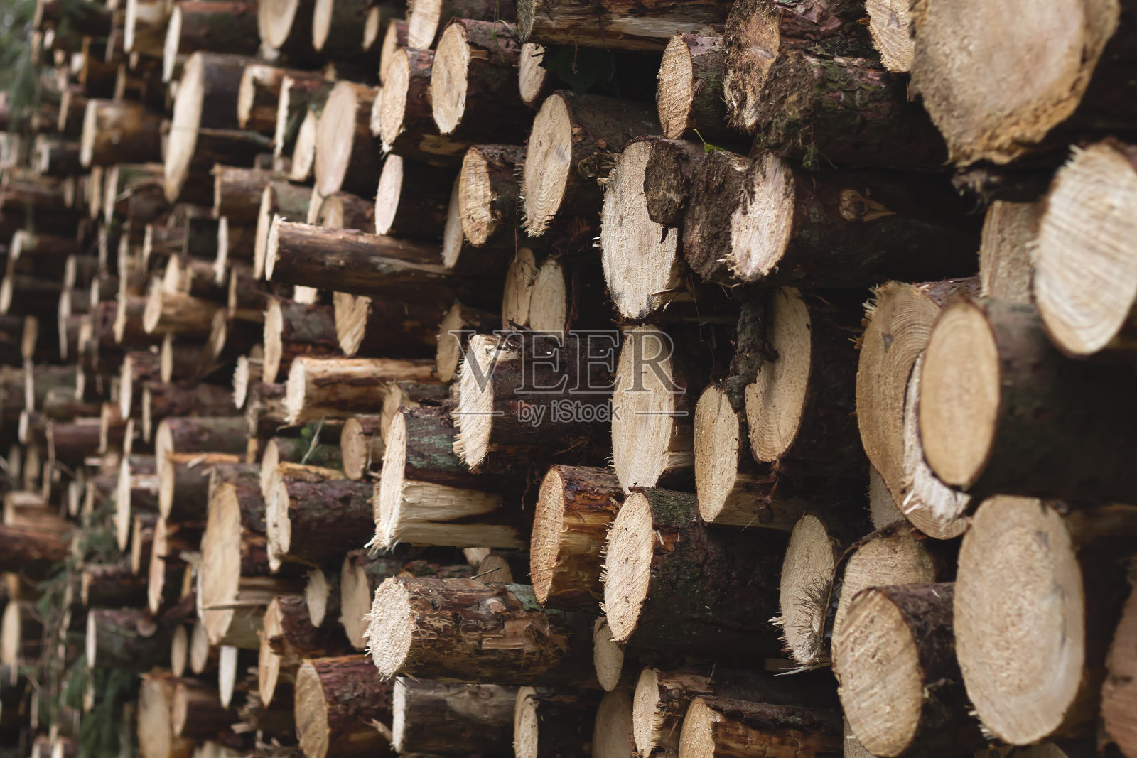 松树原木堆细部照片摄影图片