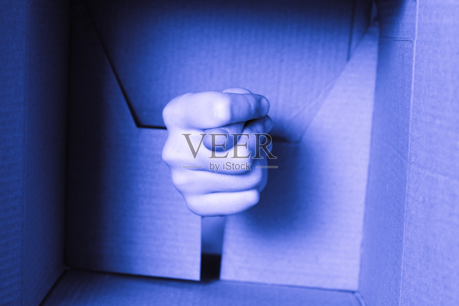 一只手在一个空盒子的底部显示一个无花果符号。蓝色的有色照片摄影图片