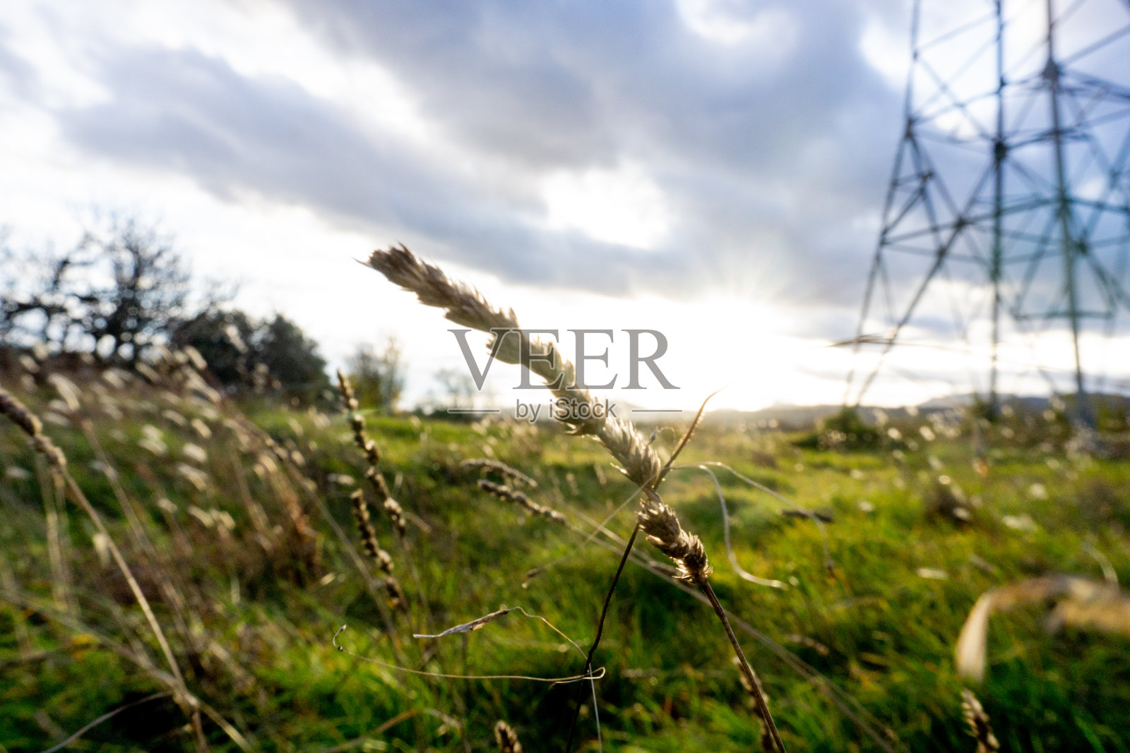 电场中的电塔照片摄影图片