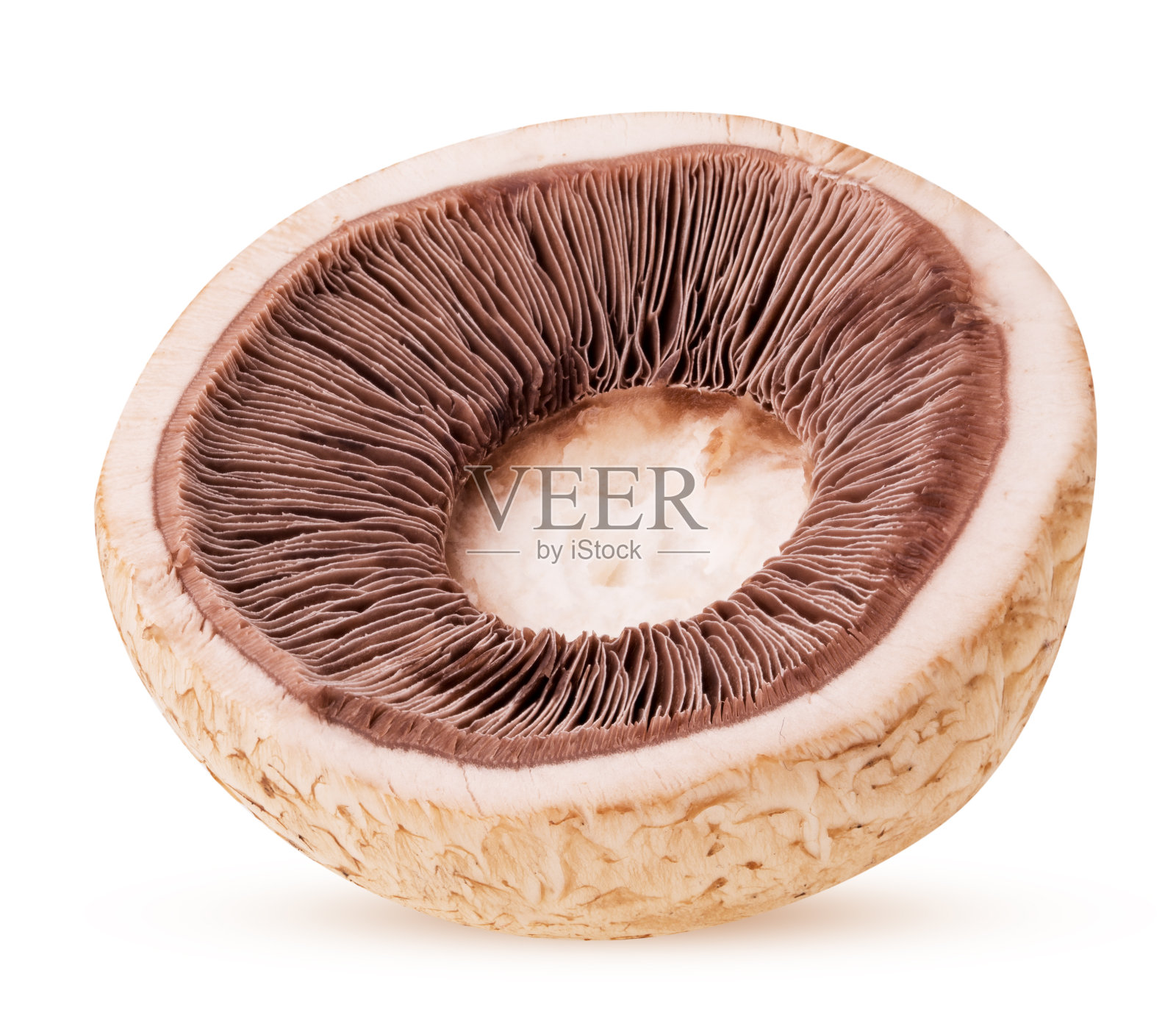 蘑菇切成两半照片摄影图片