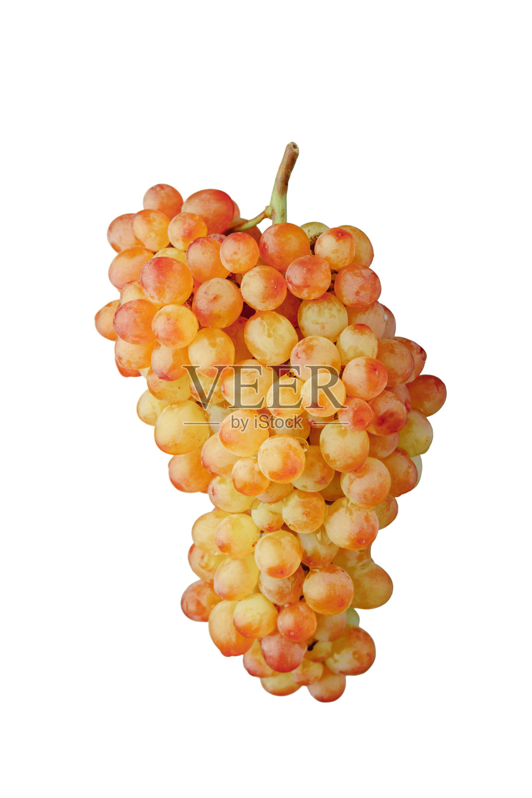 粉红和绿色的麝香葡萄藤，孤立的白色照片摄影图片