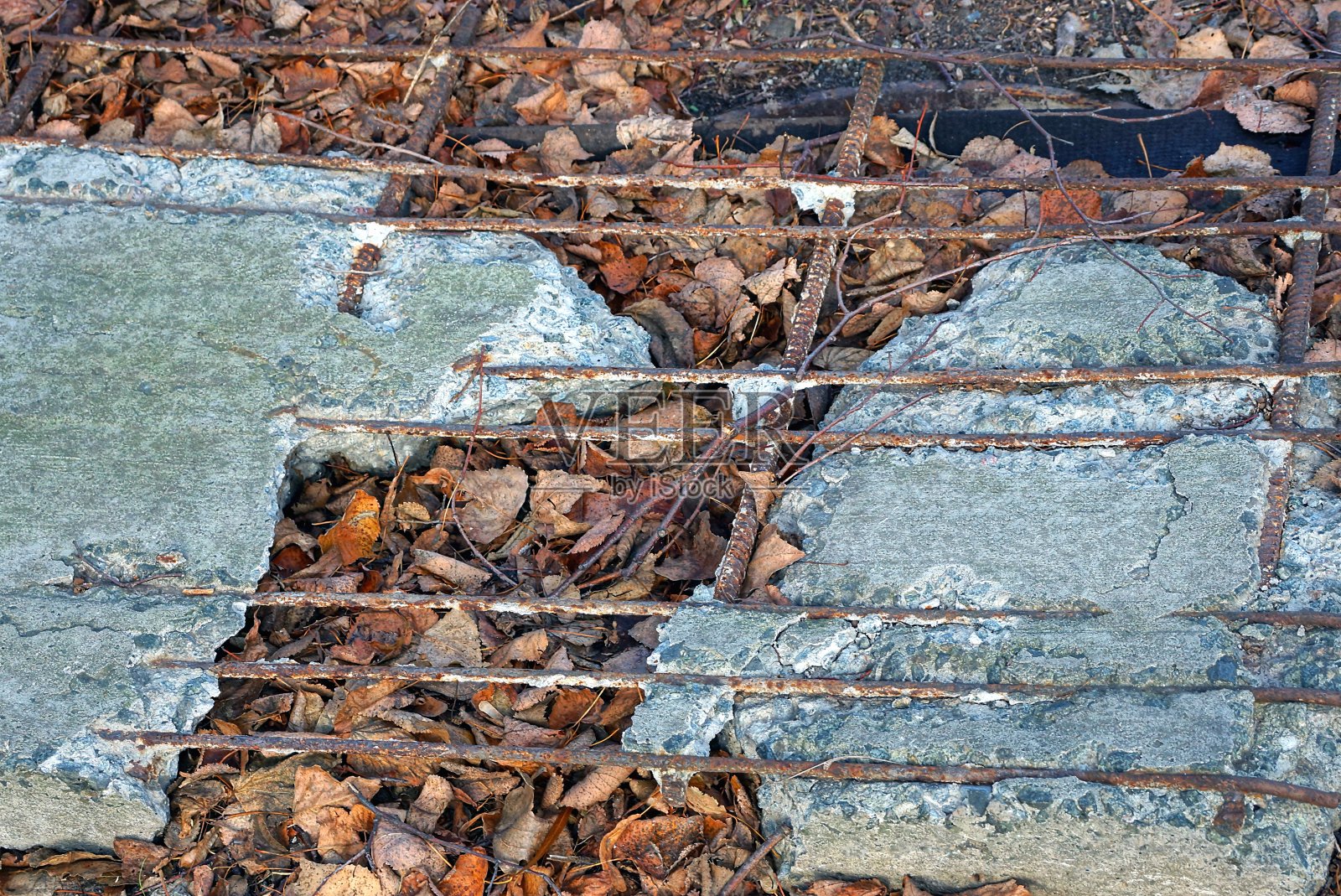 灰色破碎的混凝土板和生锈的钢筋躺在棕色的干树叶上照片摄影图片
